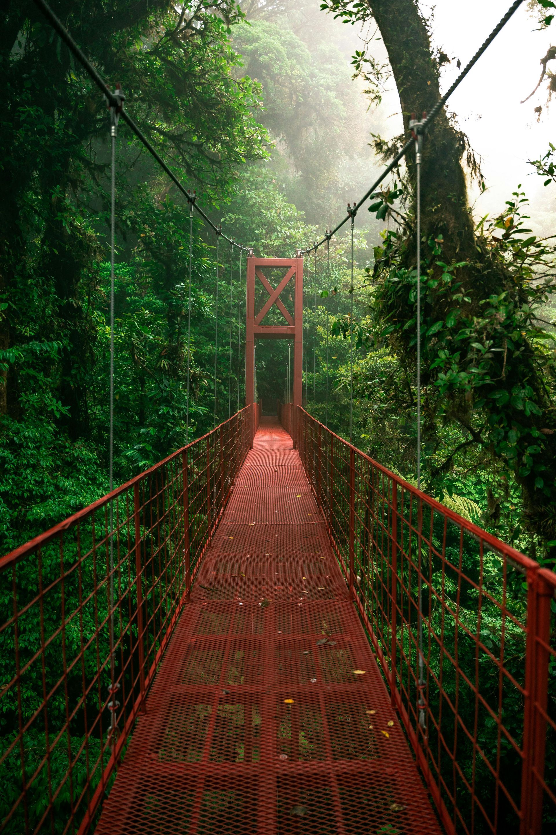 A red suspension bridge in the middle of a forest in Monteverde