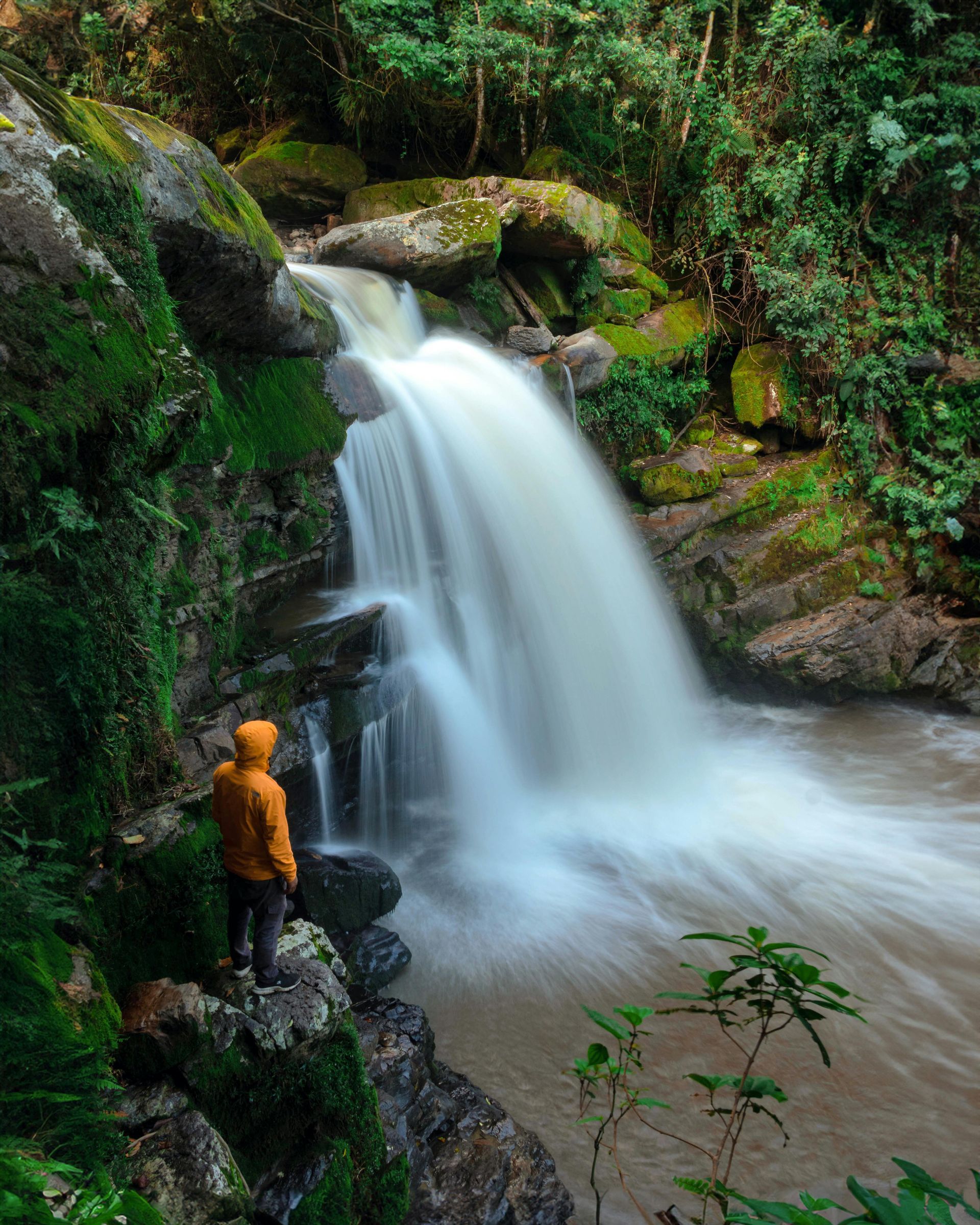 Person in orange jacket stands before a small waterfall cascading over mossy rocks in a lush forest.