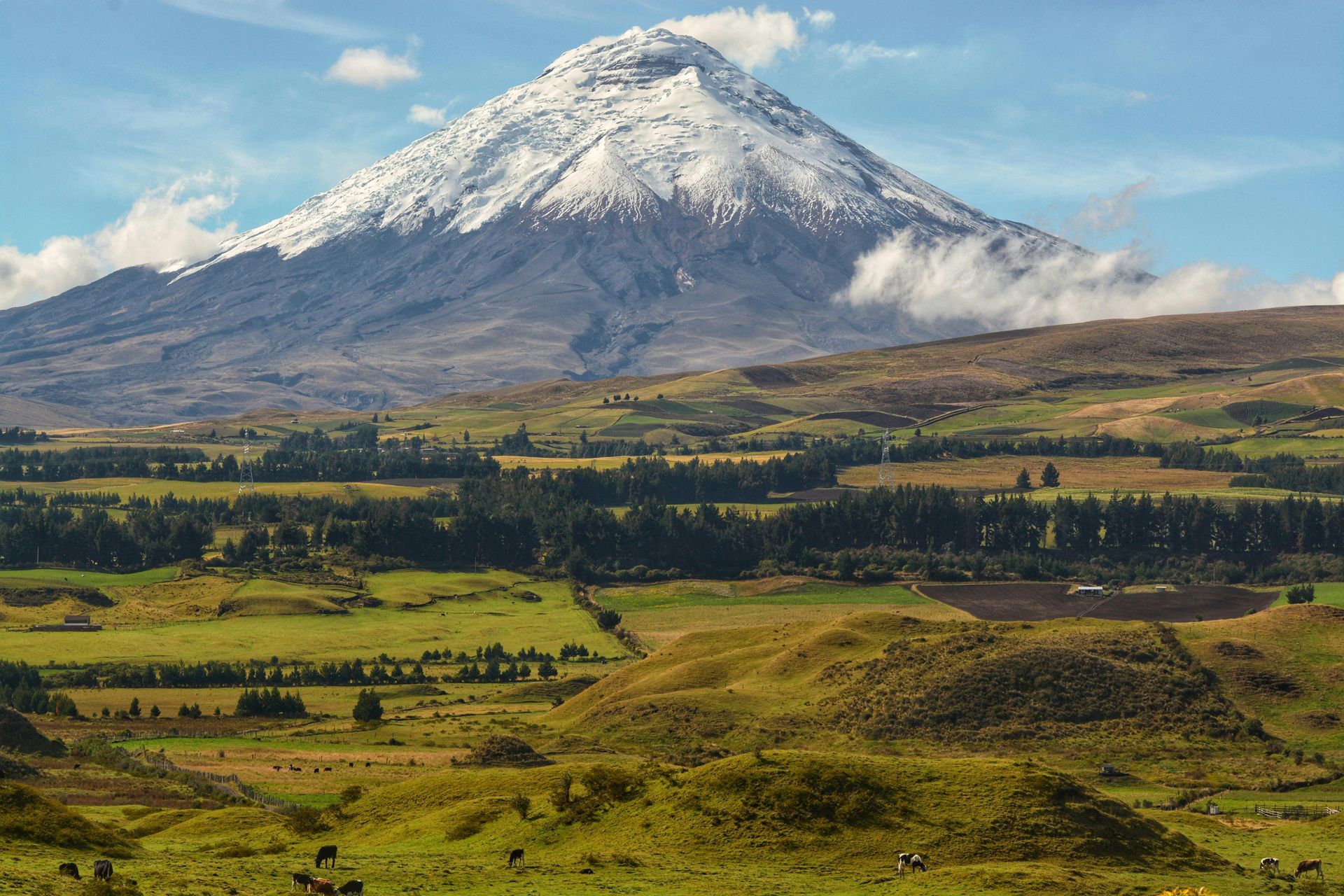 Snow-capped volcano Cotopaxi in Ecuador, with green fields and low clouds.