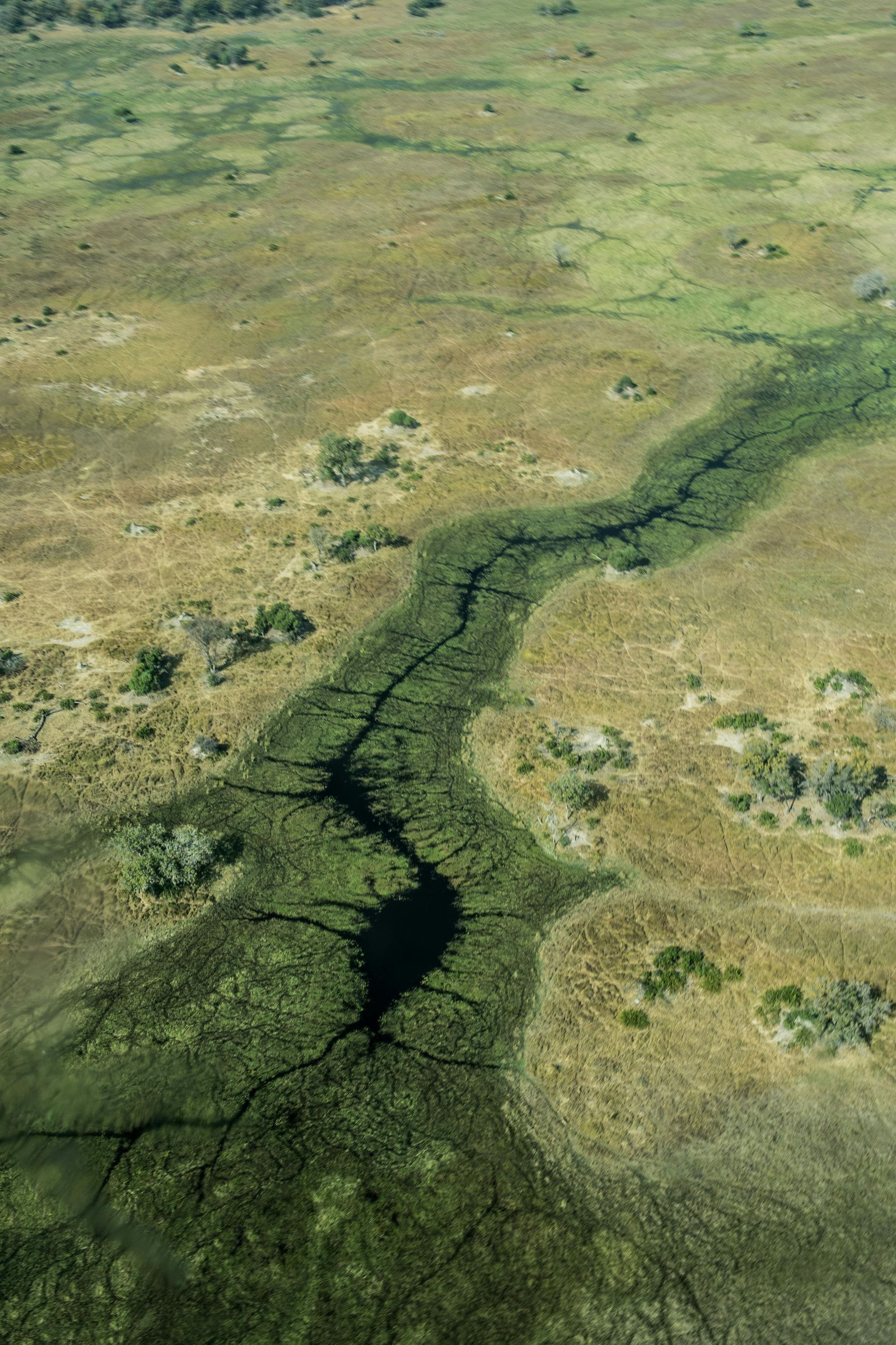 Okavango Delta