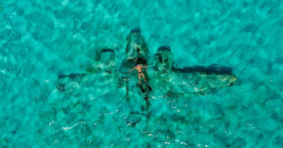 A person swims near a partially submerged airplane wreck in clear, turquoise water.