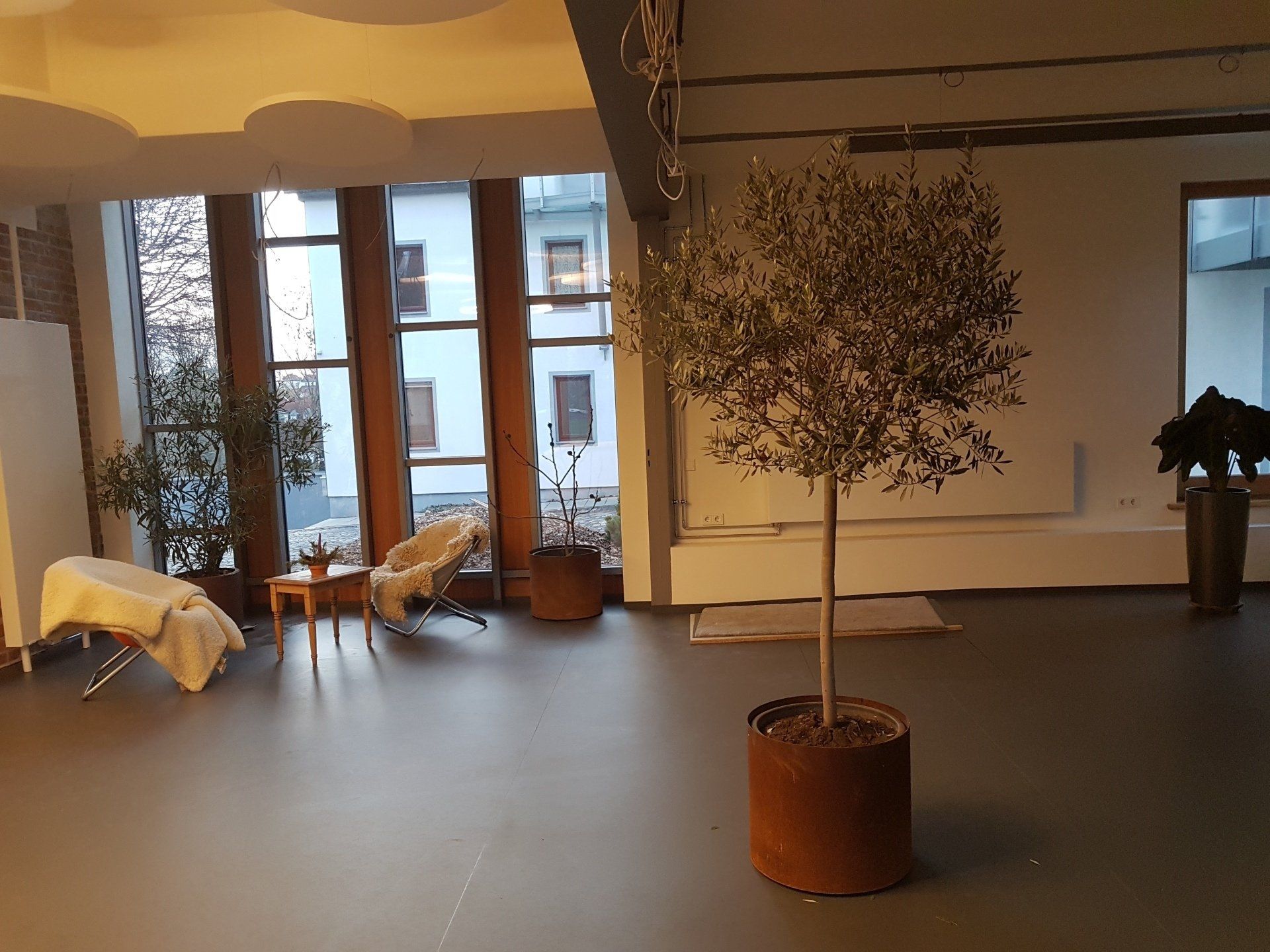 Limus Zukunftsschmiede in Gotha -  Dialog, Persönlichkeitsentwicklung und gesellschaftliche Transformation.
