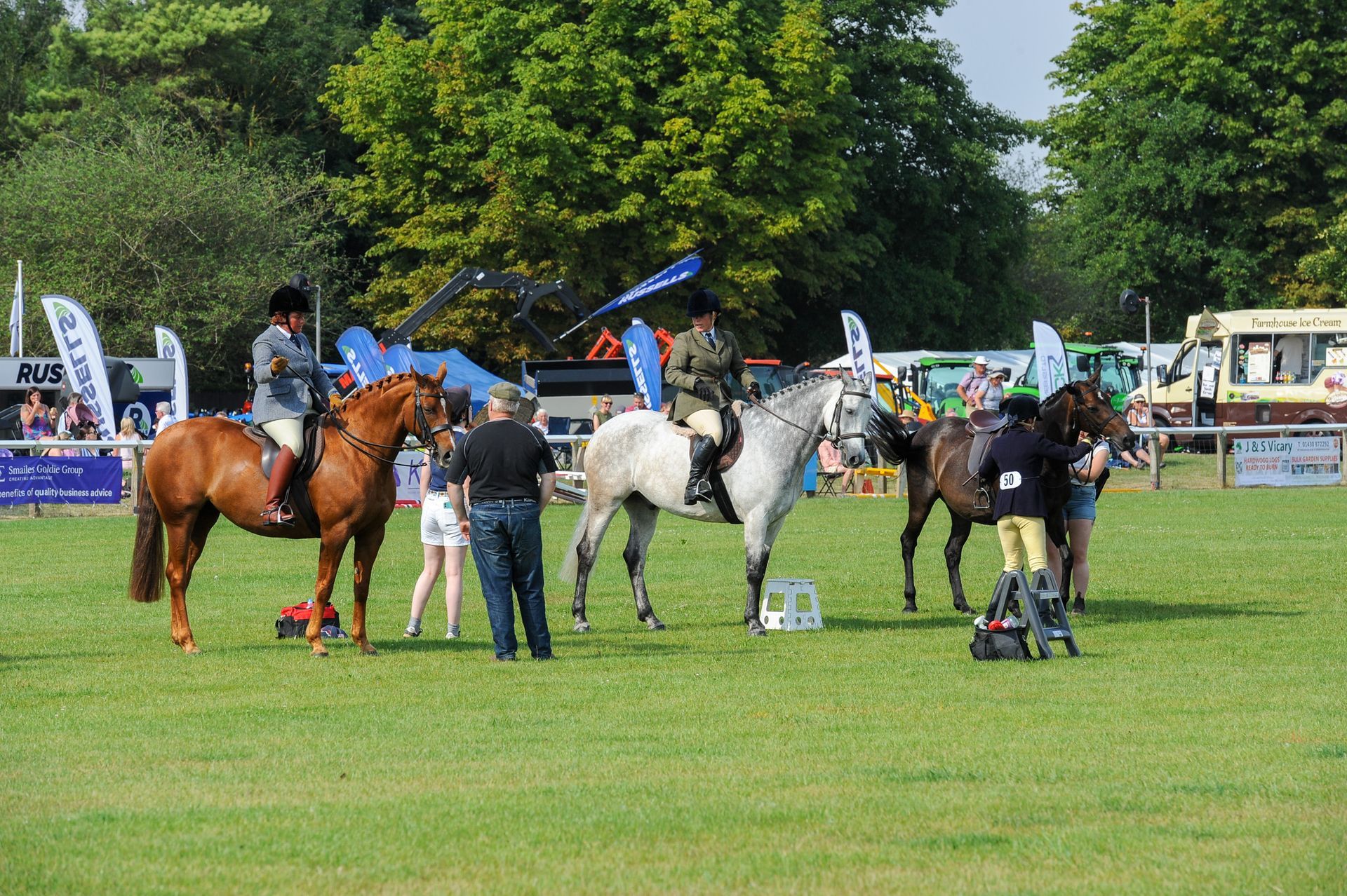 Horse show on a grassy field, with riders, handlers, and several horses lined up in competition.
