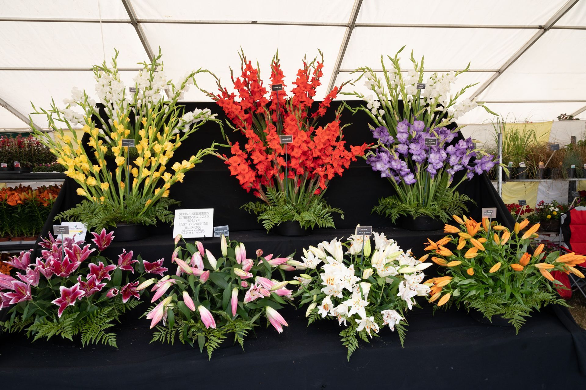 Colorful flower arrangements on a display table under a white tent, with red, yellow, purple, pink, and white blooms