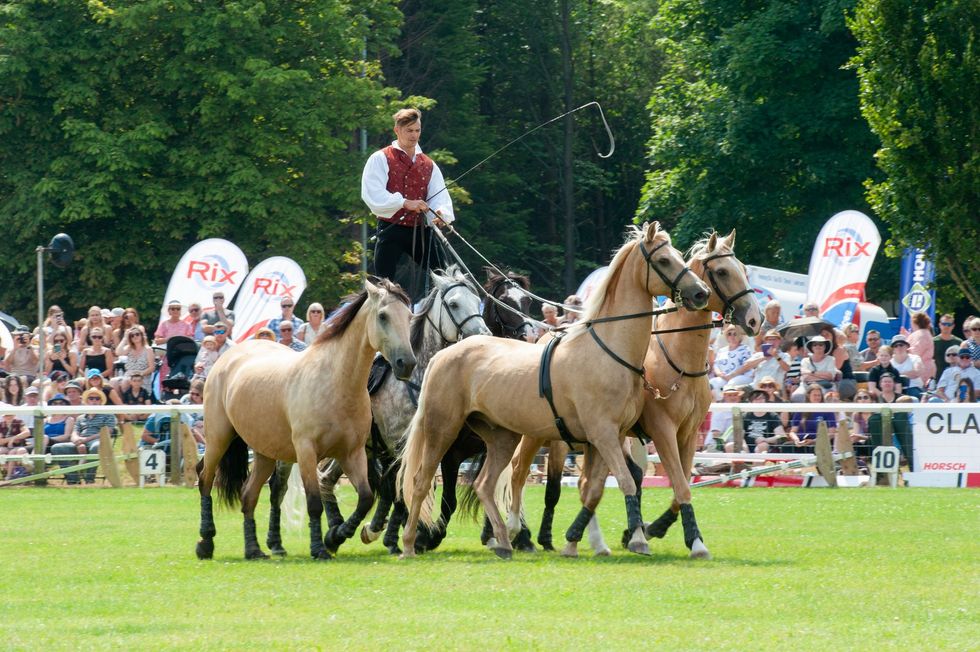 Four horses pull a carriage at a grassy outdoor show, with a rider in red and a crowd behind