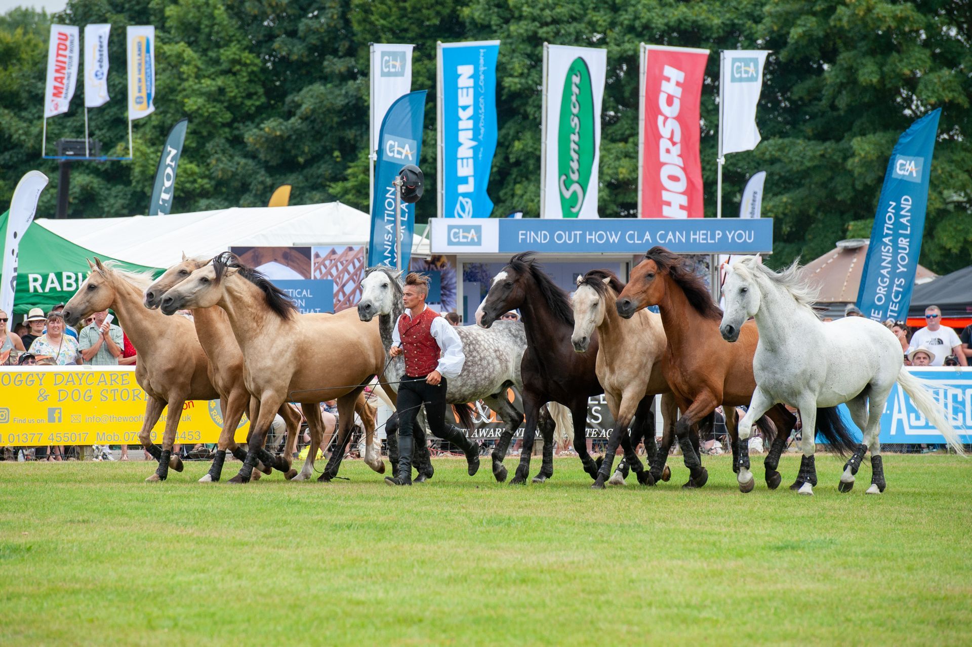 Group of horses and riders racing across a grassy track at an outdoor event
