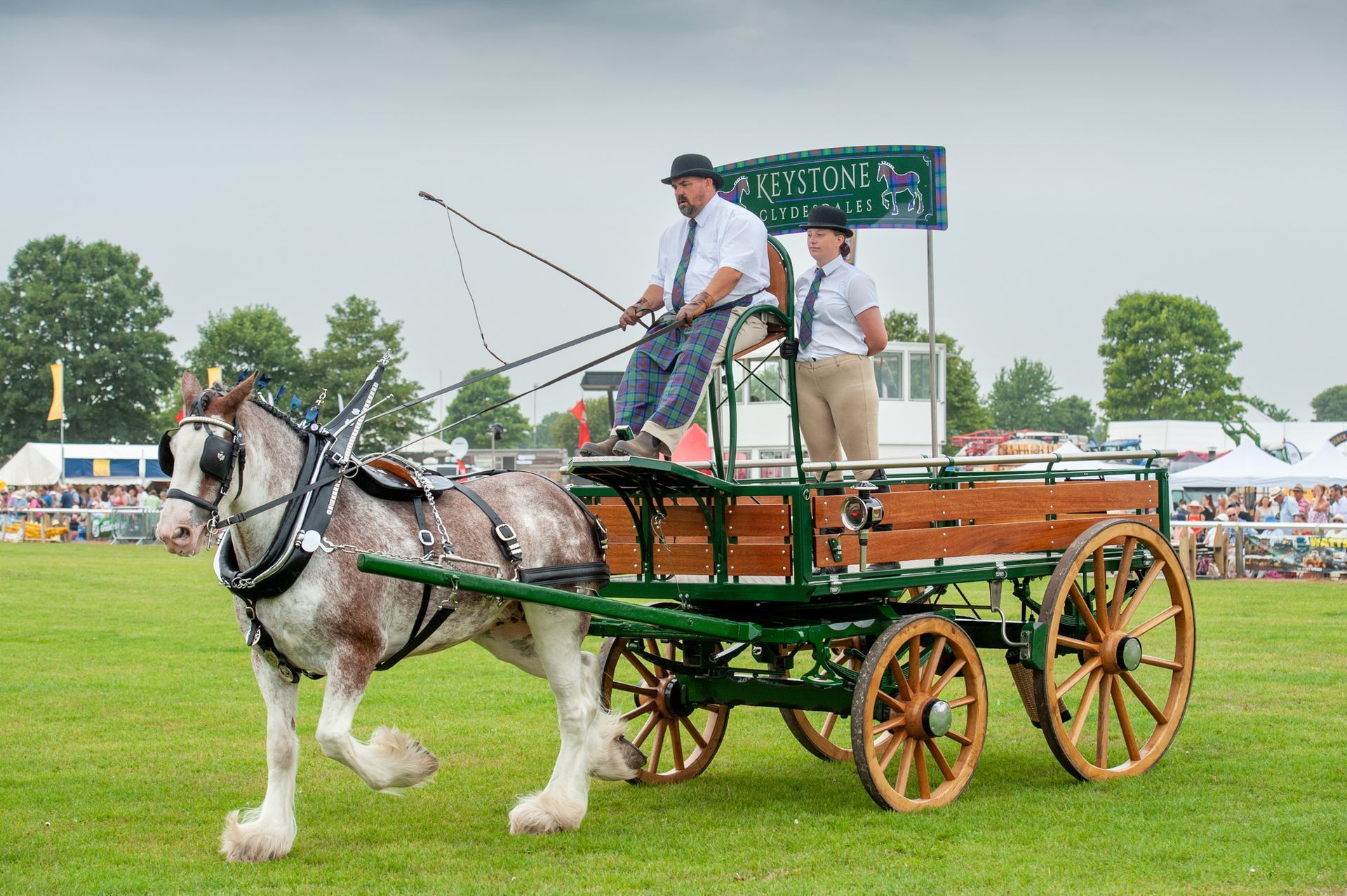 Horse-drawn wagon with two drivers at an outdoor fair, pulled by a white draft horse on grass.