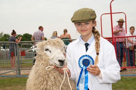 Girl holding blue ribbon beside a sheep at a livestock show, with spectators in the background