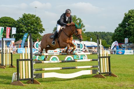 Rider on a brown horse jumping a show jumping hurdle in a grassy outdoor arena