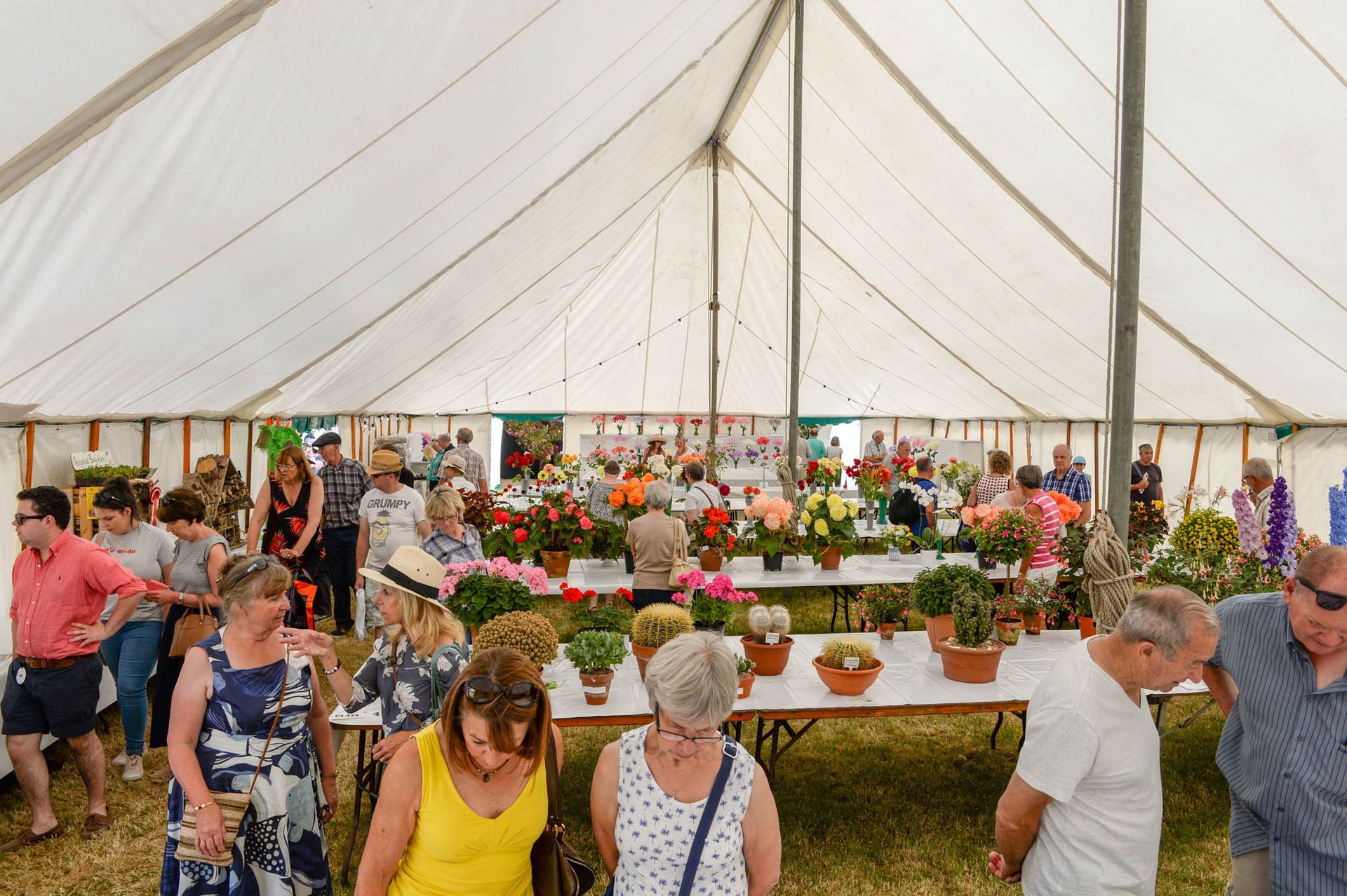 Crowded flower market inside a white tent, with tables of colorful potted plants and shoppers browsing
