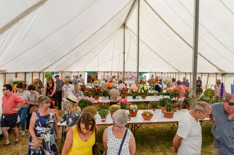 Crowded flower market inside a white tent, with tables of colorful potted plants and shoppers browsing