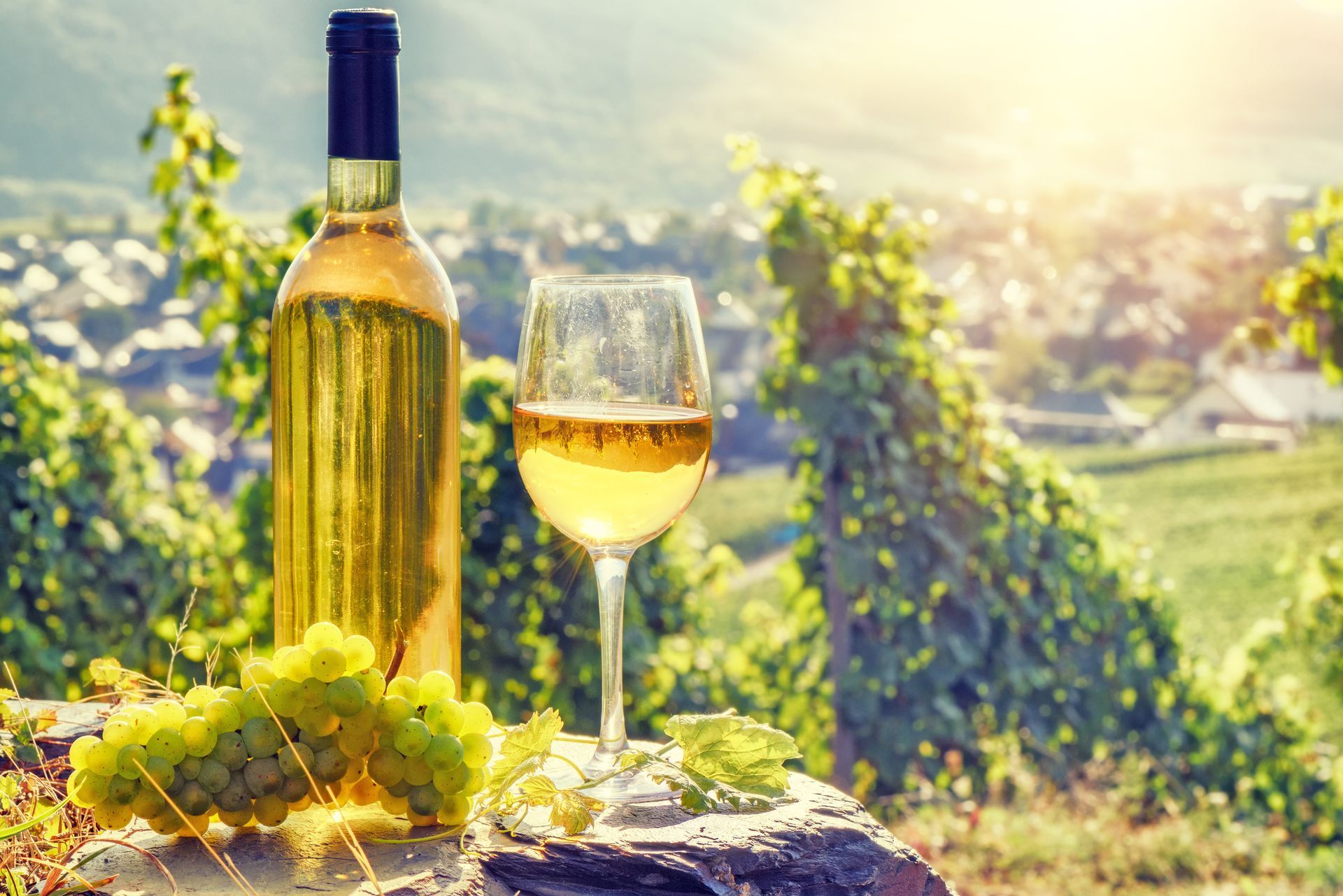 A bottle and glass of white wine sit on a stone surface with a bunch of green grapes in a sunny vineyard.