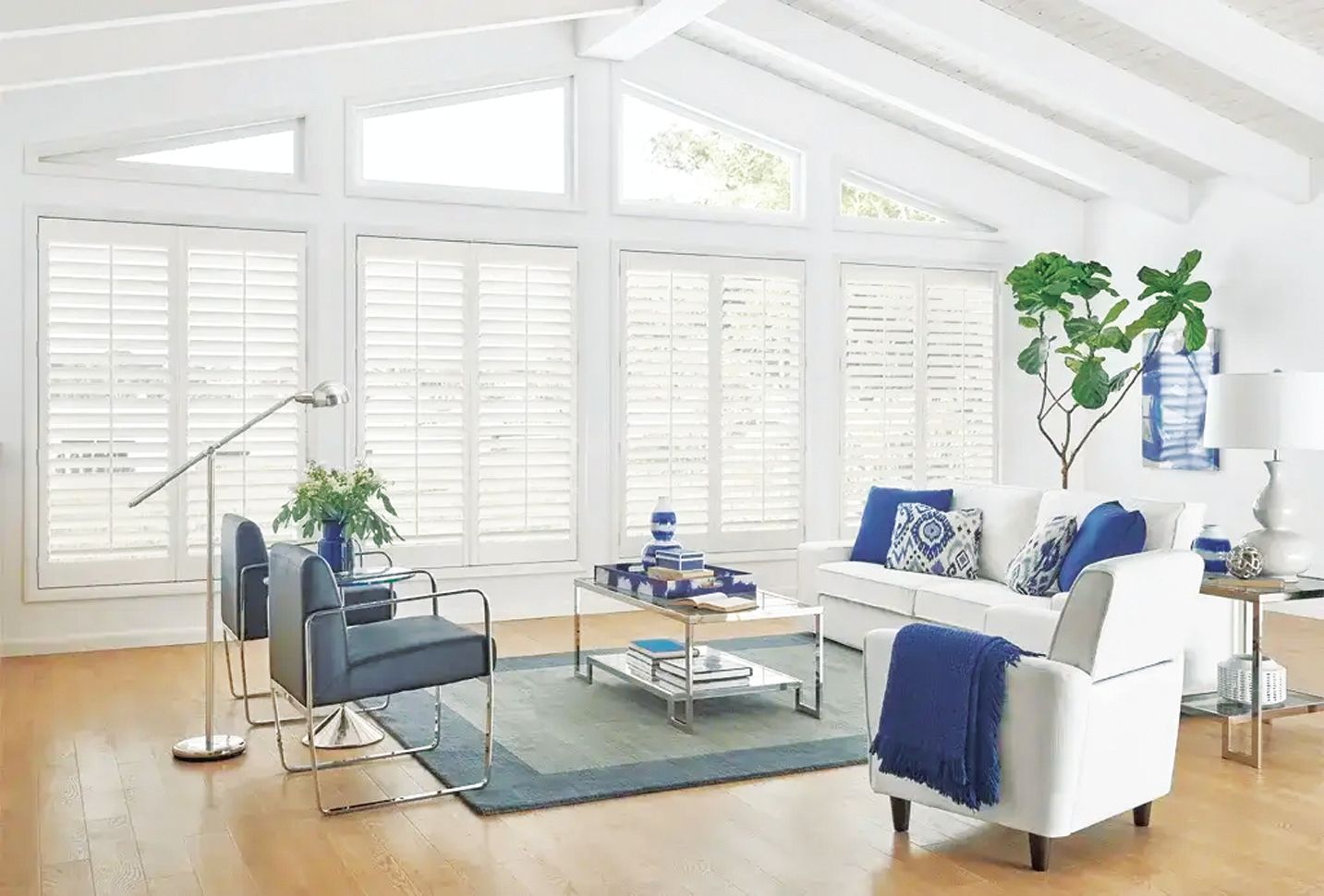 A bright, airy living room featuring white plantation shutters, blue accent furniture, a rug, and a large indoor plant.