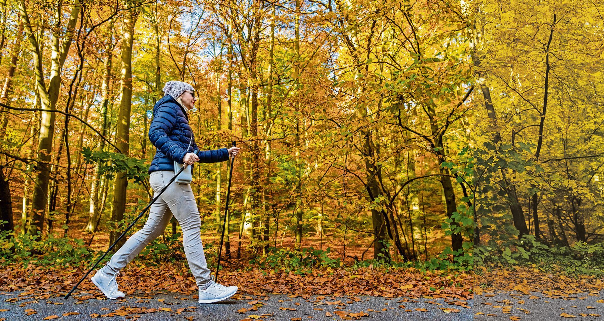 A person walks through an autumn forest using Nordic walking poles while wearing a blue jacket and light-colored pants.