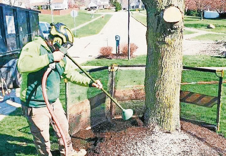 An arborist uses an air tool to excavate soil around the base of a tree in a residential yard.