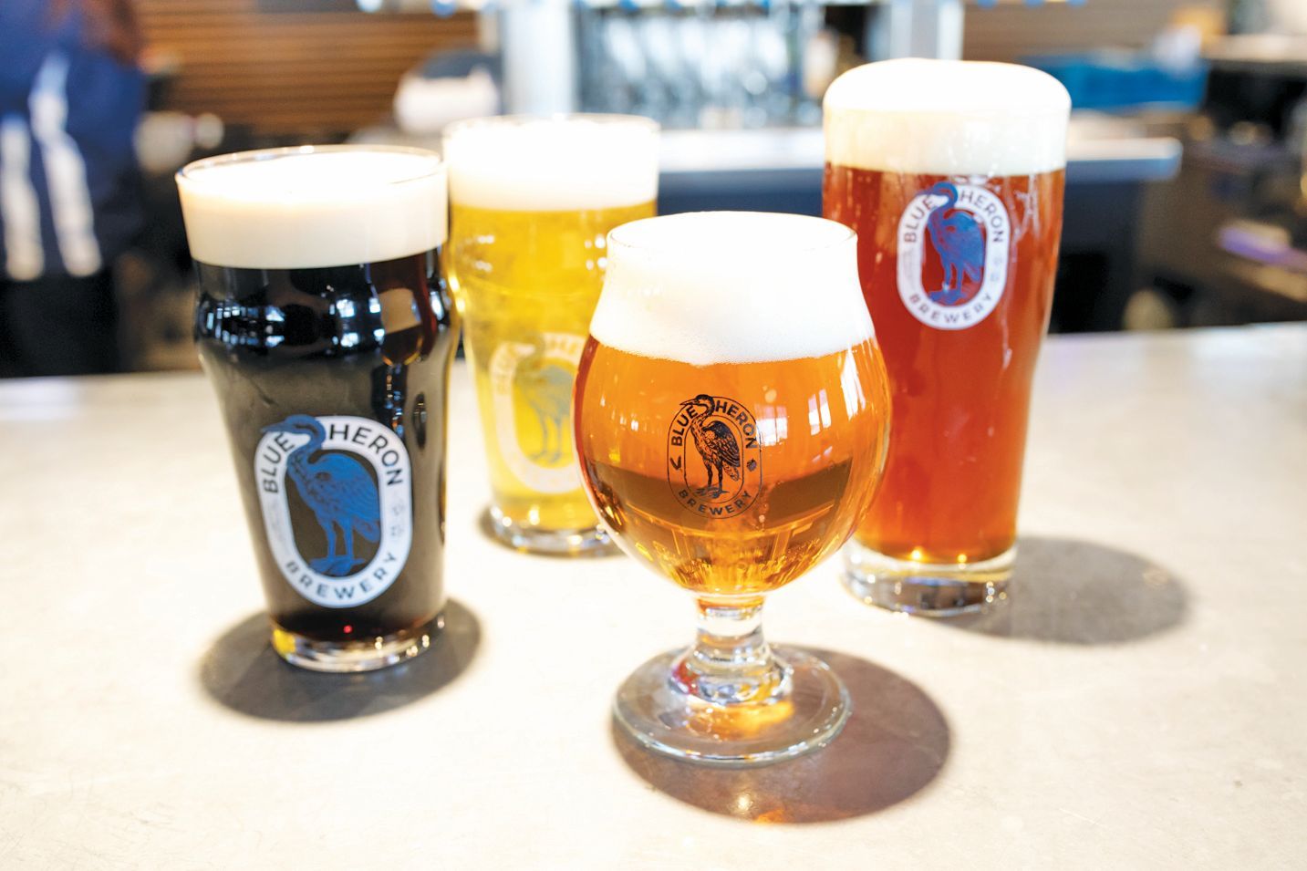 Four glasses of beer with Blue Heron Brewery branding, including a stout, two pilsners, and an amber ale on a bar top.