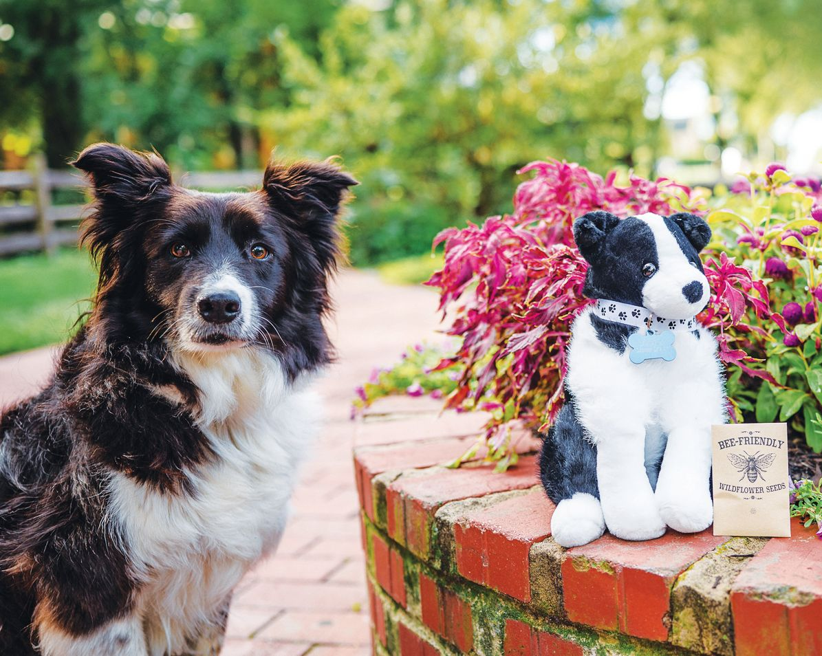 A black and white dog sits next to a matching plush dog toy on a brick planter in a garden.