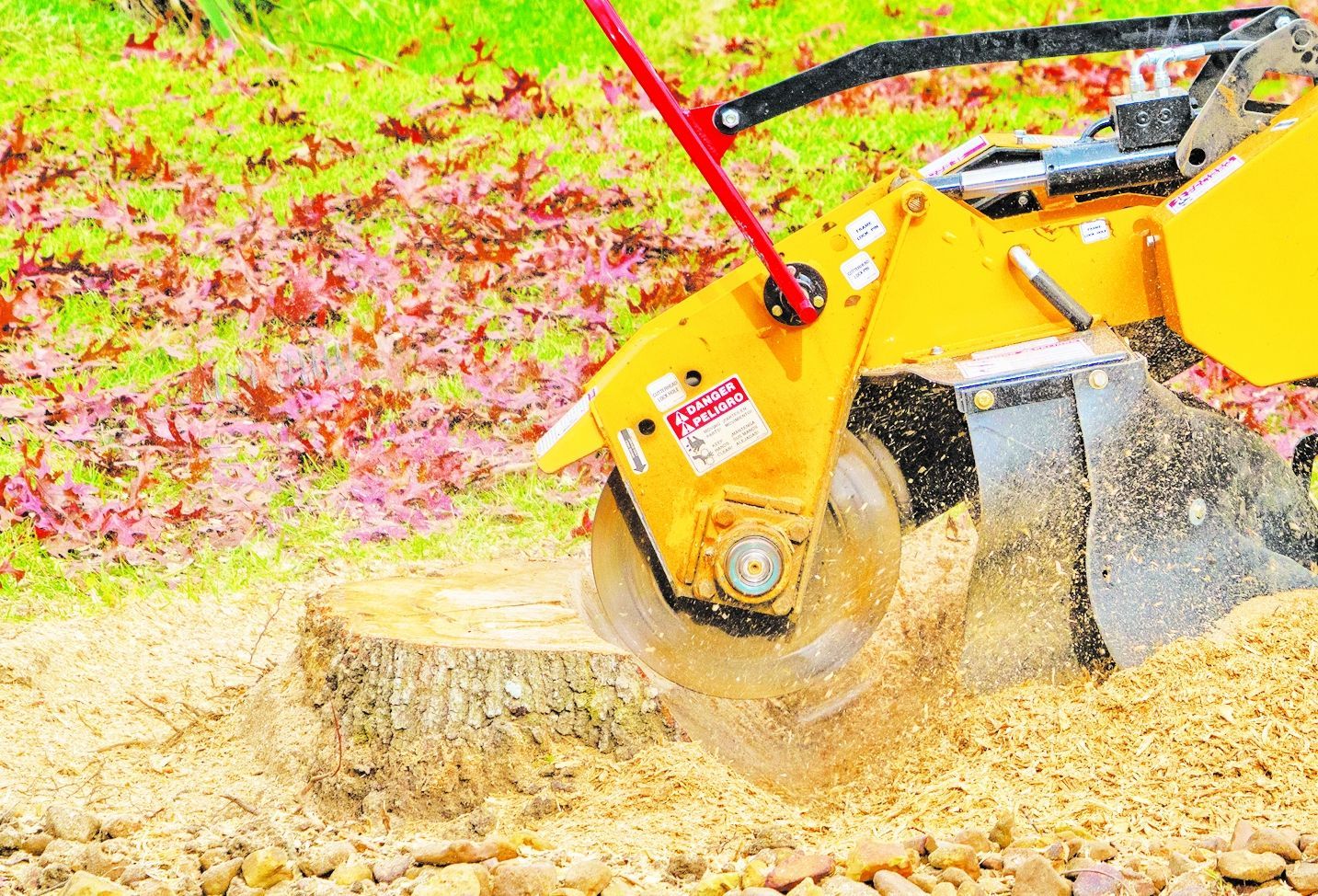 A yellow stump grinder cuts into a tree stump, creating wood chips on a grassy lawn covered in fallen leaves.