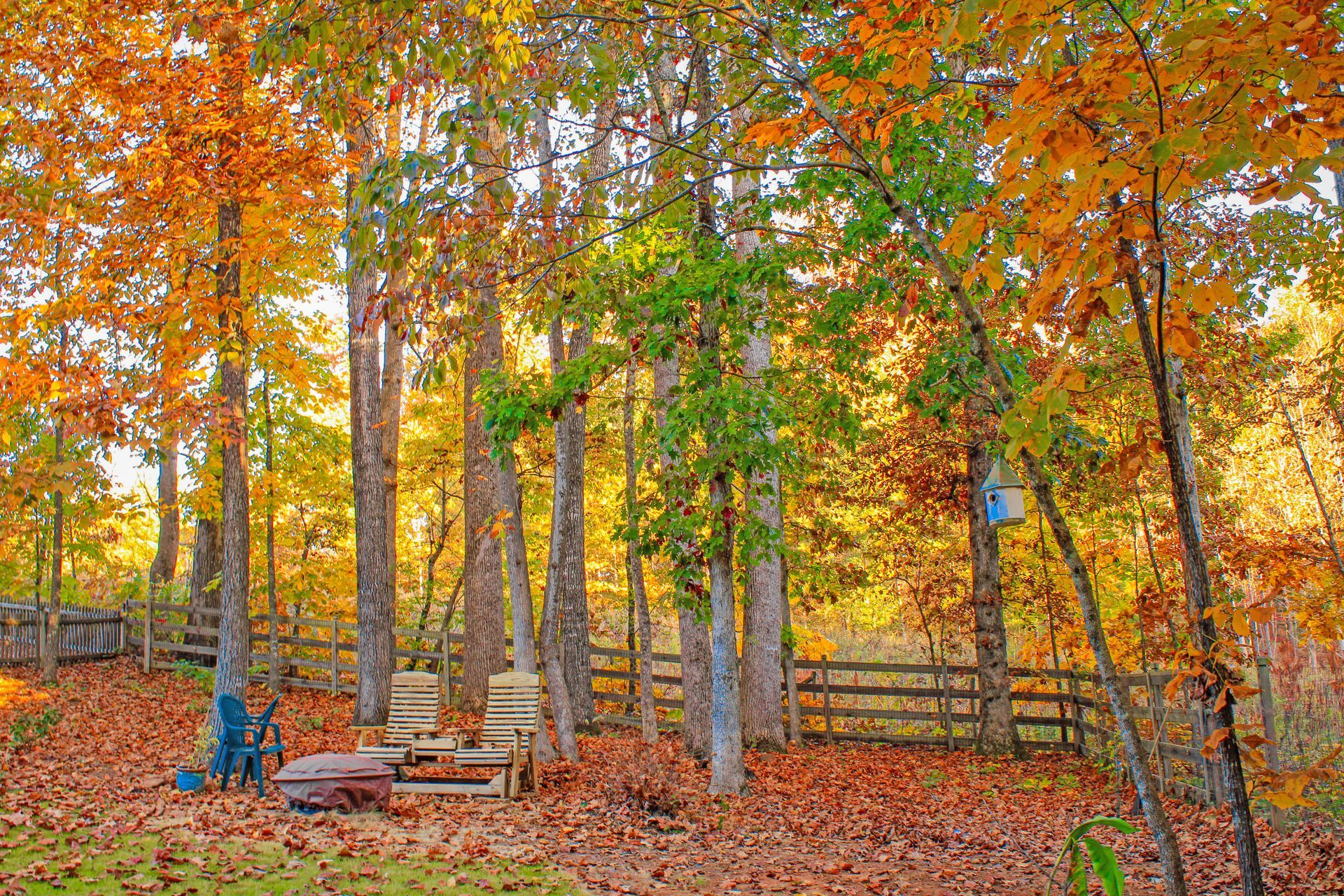 Two wooden lounge chairs sit on a carpet of fallen leaves in a forest filled with vibrant autumn foliage.