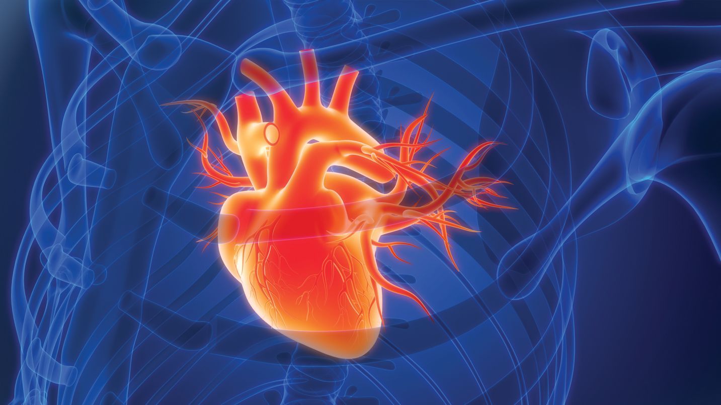 A glowing, orange-red 3D rendering of a human heart positioned within a translucent blue skeletal structure.