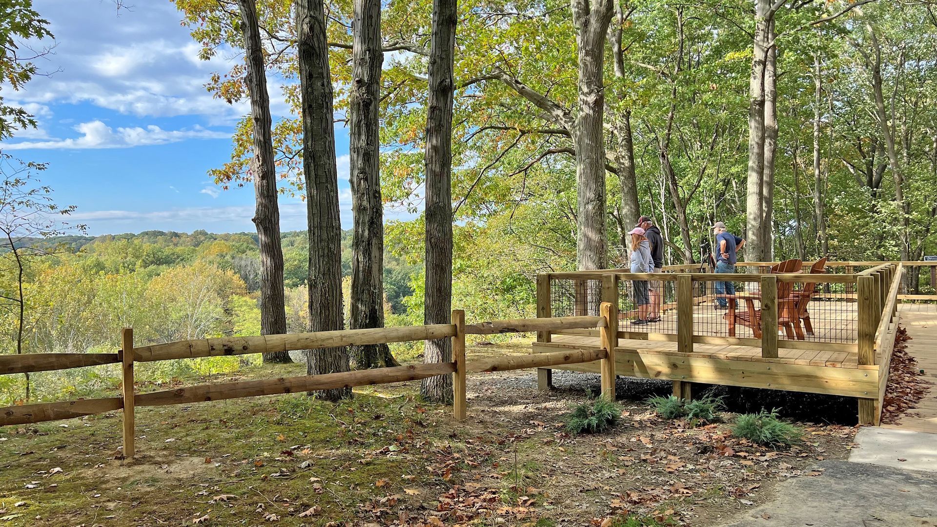 People stand on a wooden viewing deck overlooking a lush green forest on a sunny day with a wooden fence in the foreground.