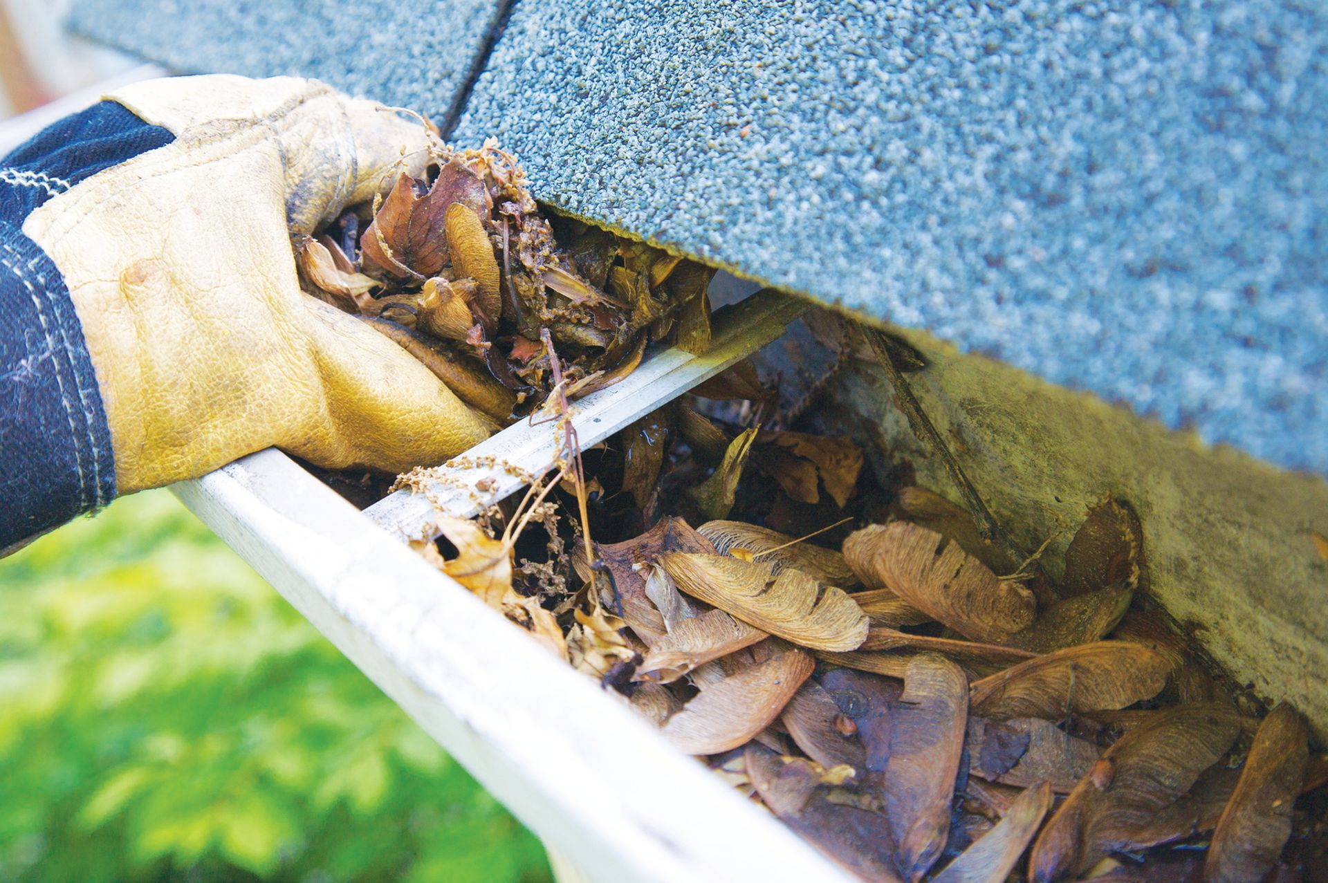 A gloved hand clears a gutter filled with dry leaves and debris.