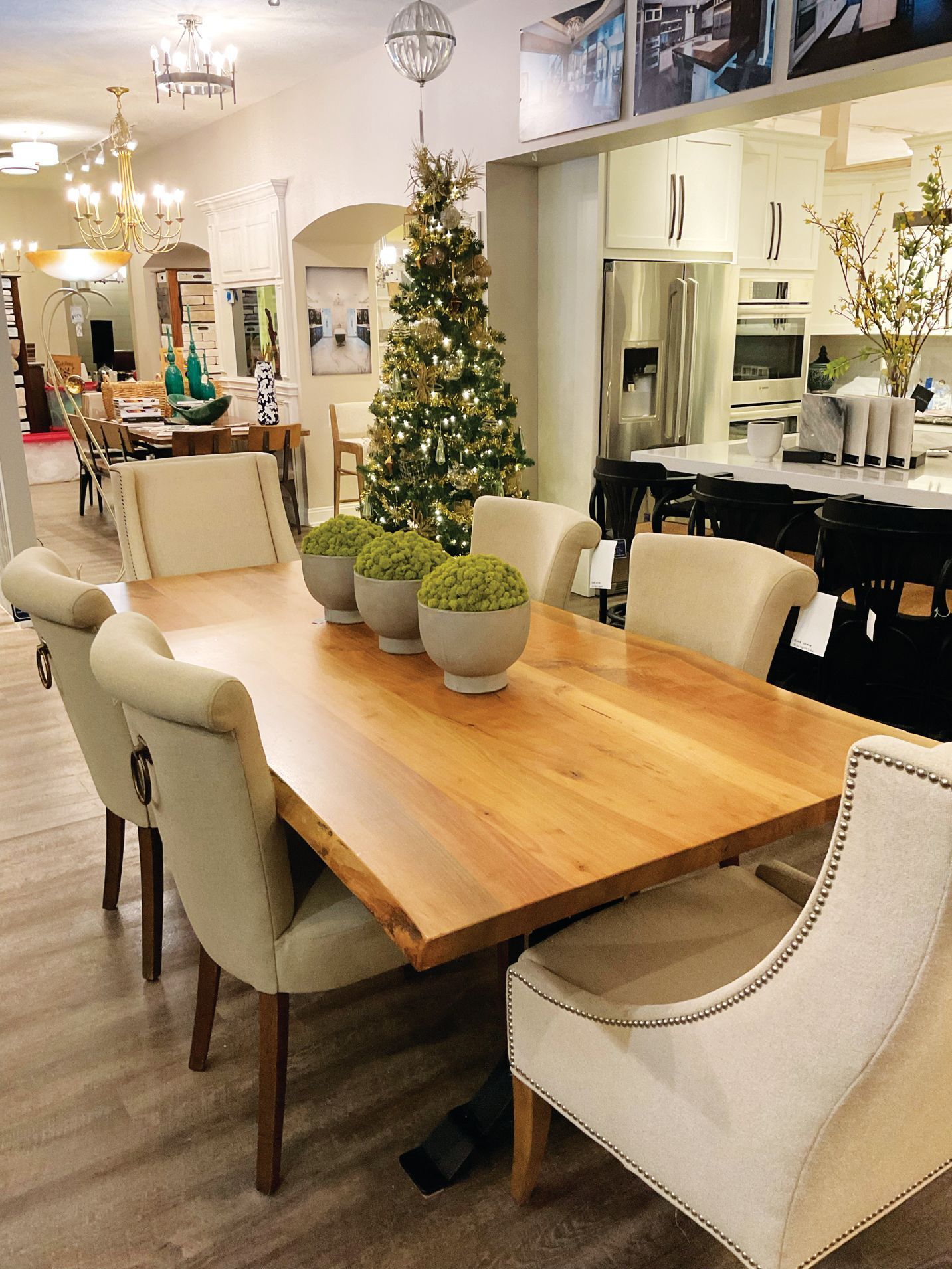 A dining room with a long wood table, beige upholstered chairs, and three round moss centerpieces near a Christmas tree.