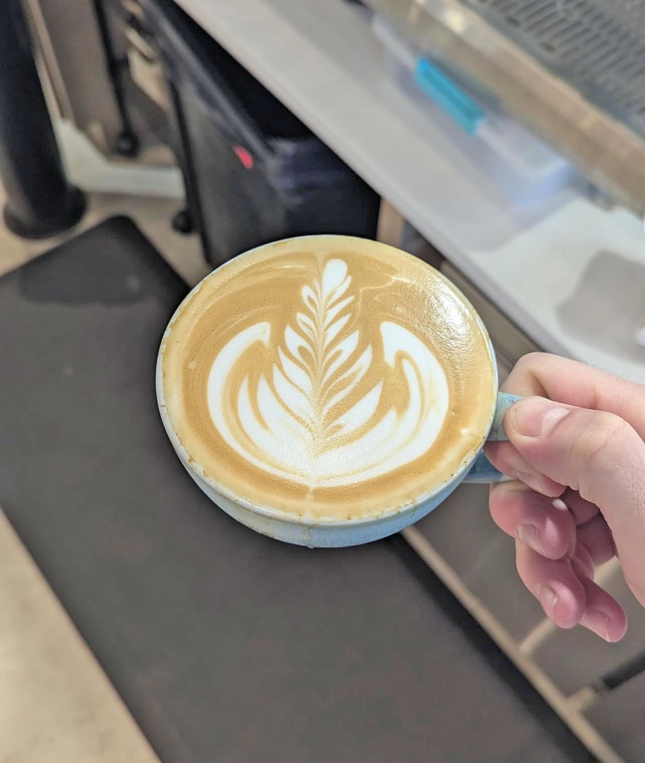 A close-up view of a hand holding a ceramic cup of coffee with detailed white fern leaf latte art on the crema.
