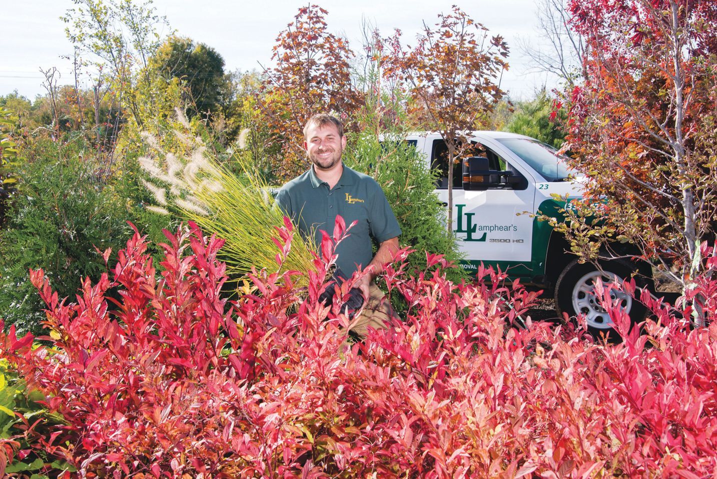 A person in a green polo shirt stands in a nursery among vibrant red-leaved bushes, near a white company truck.