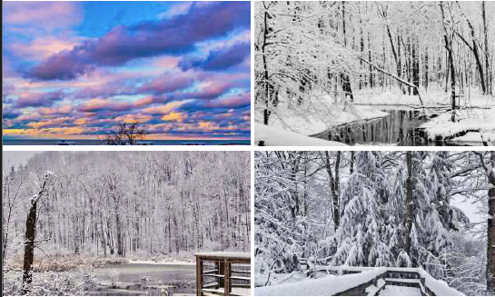 A collage showing a colorful sunset over a lake and three scenes of a snow-covered, tranquil forest landscape.