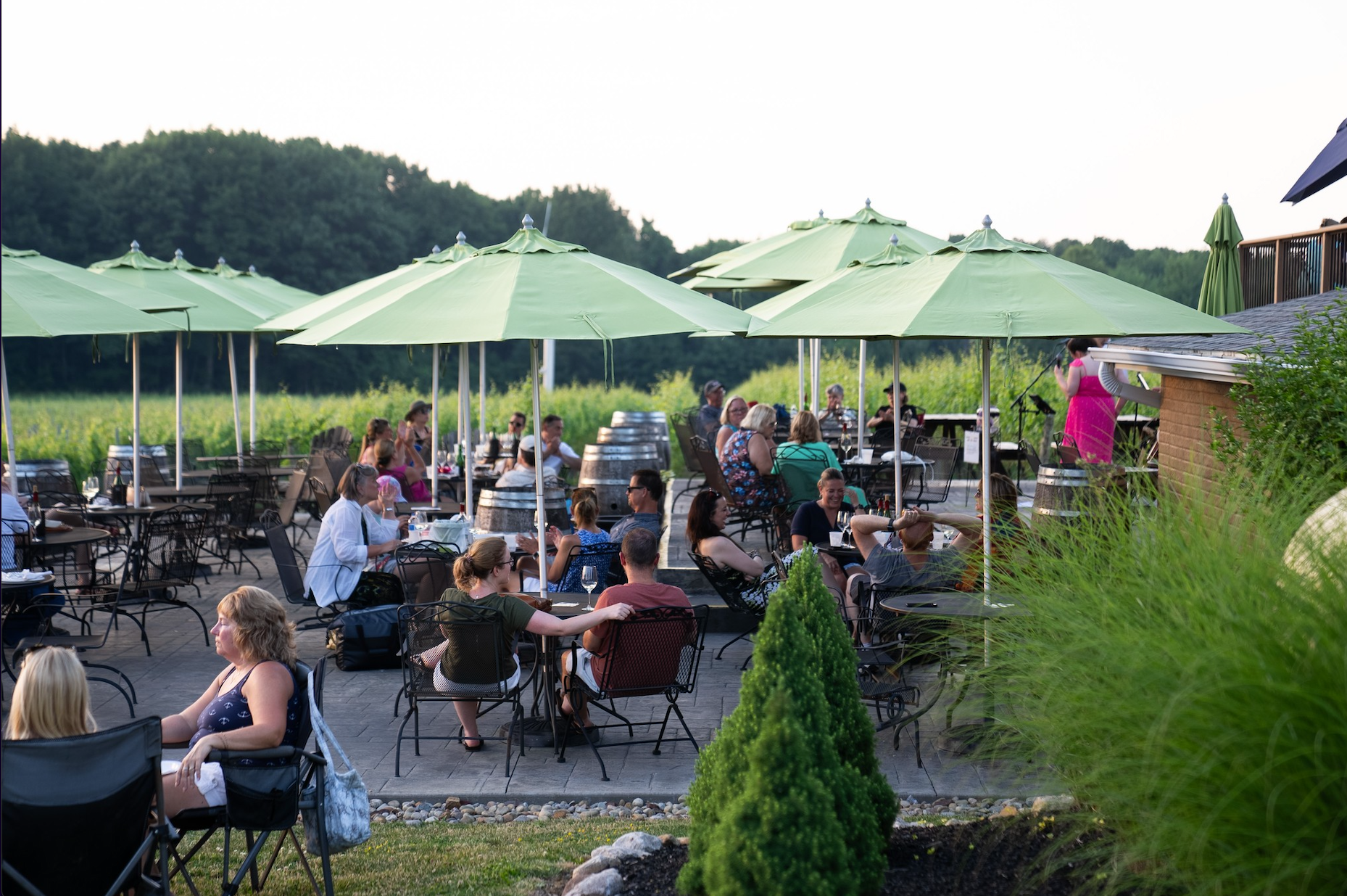 A sunny outdoor patio with people sitting at tables under green umbrellas, overlooking a field with distant trees.