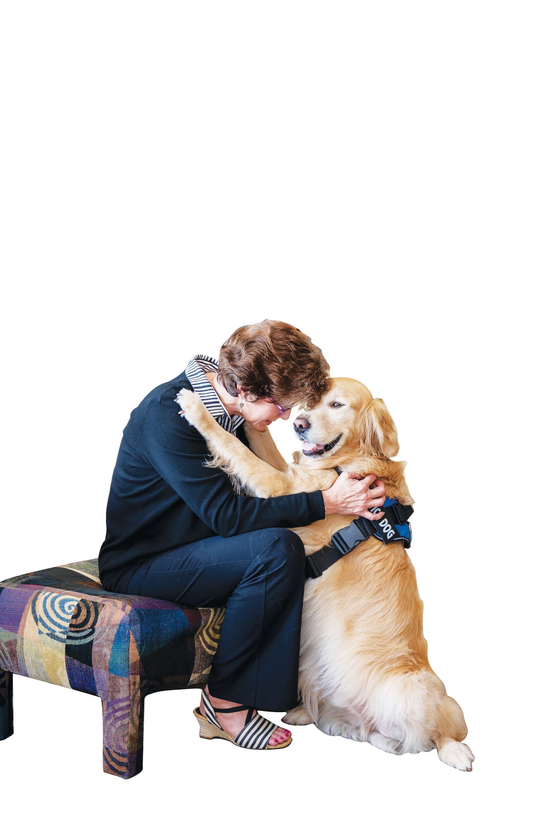 A person sits on a colorful patterned stool, hugging a golden retriever wearing a blue harness.