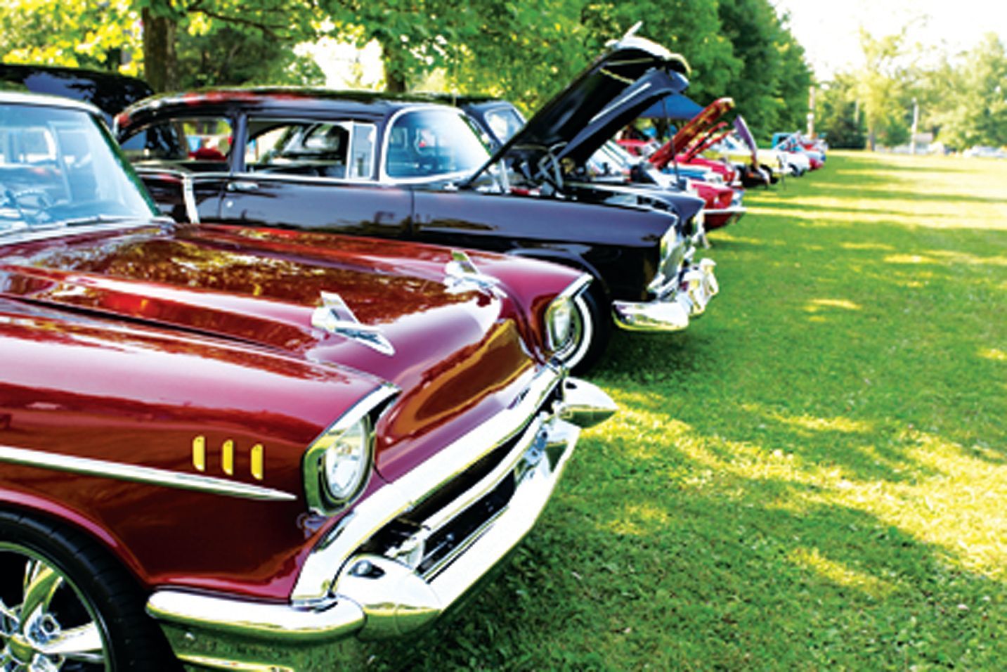 A row of vintage cars with their hoods open parked on a grassy field during a sunny day.