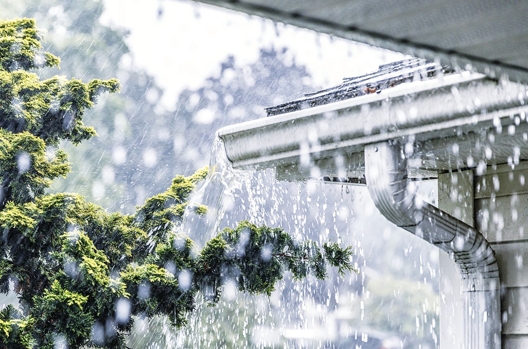 Heavy rain pours over a house roof, with water overflowing from a metal gutter beside a green tree.