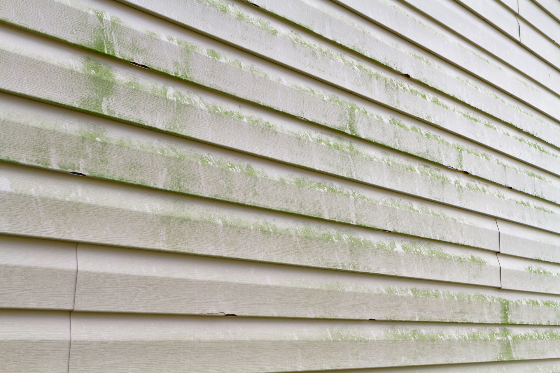 We’ve never seen as much algae as we’re seeing this year. It’s everywhere.