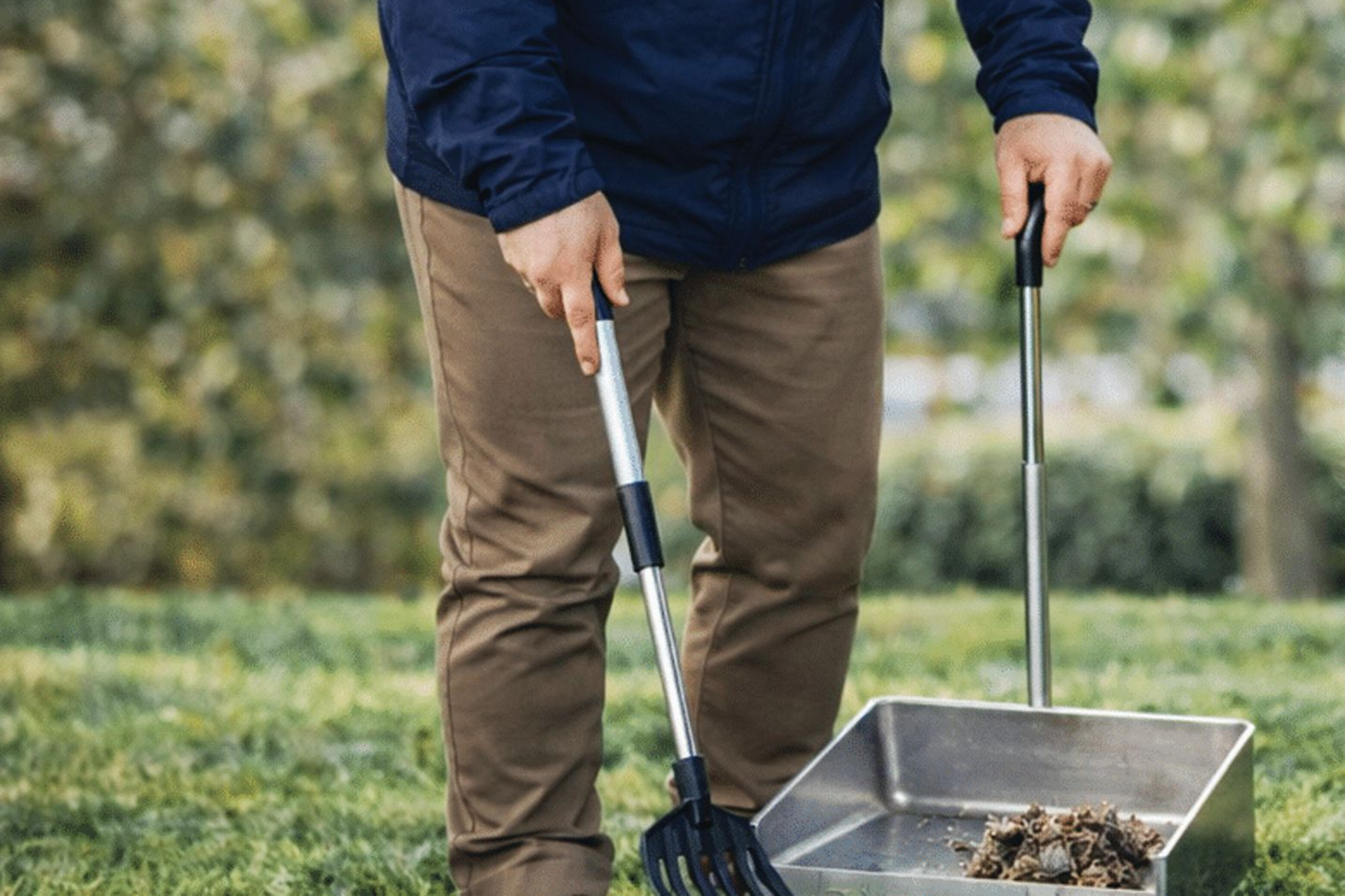 A person uses a long-handled rake and metal dustpan to clean up pet waste in a grassy outdoor area.