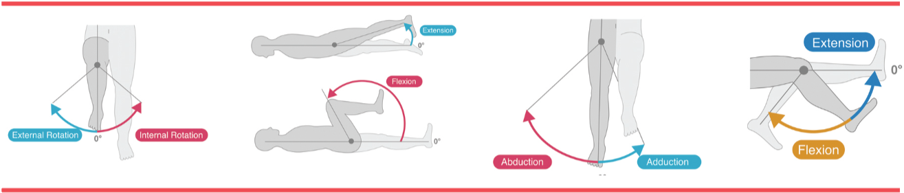 Diagram showing human lower limb movements: hip rotation, knee flexion, hip abduction/adduction, and ankle dorsiflexion.