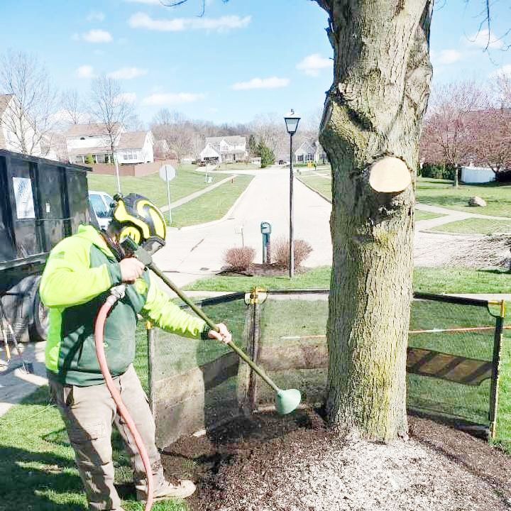 A worker in safety gear uses an air excavation tool to clear soil from around the base of a tree in a suburban yard.
