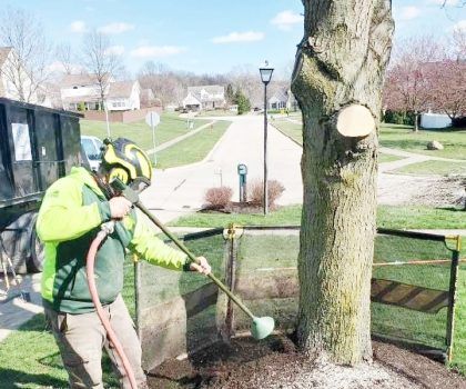 A worker in high-visibility gear uses an air spade to loosen soil around the base of a tree in a residential area.
