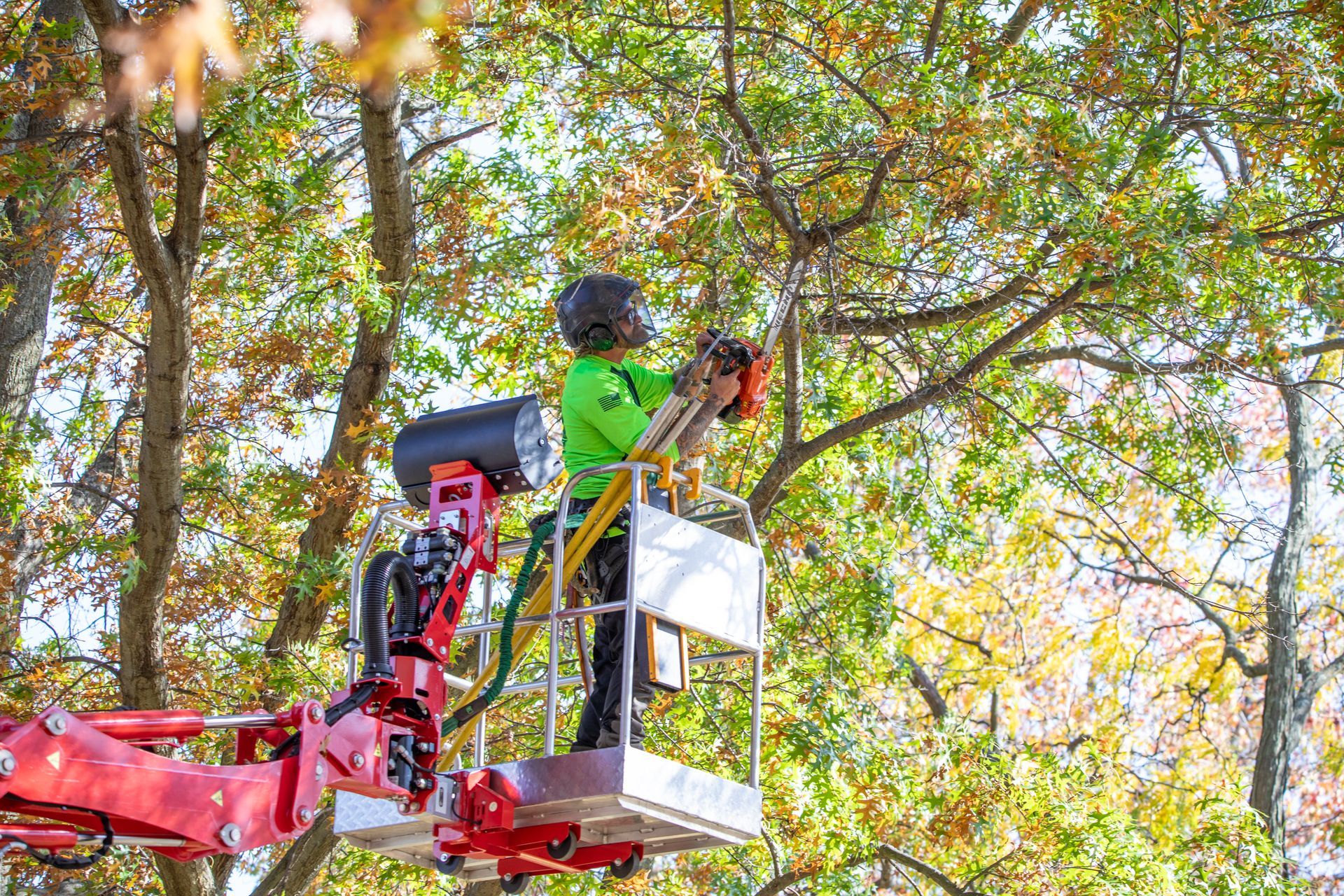 A worker in a bright green shirt and protective gear trims tree branches from a red aerial lift bucket.