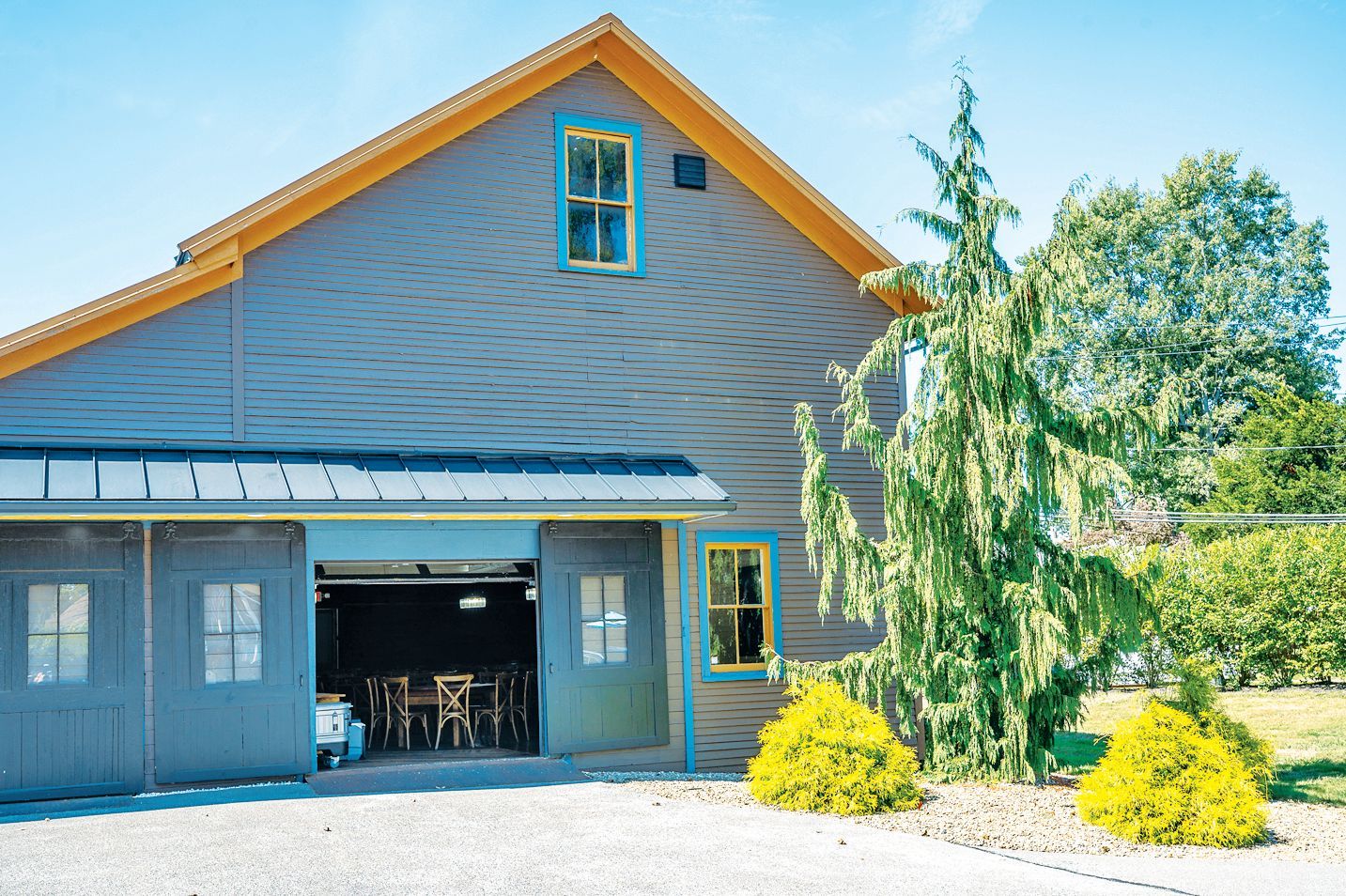 A gray barn with yellow trim and an open garage door, standing next to a tall evergreen tree and two small yellow bushes.