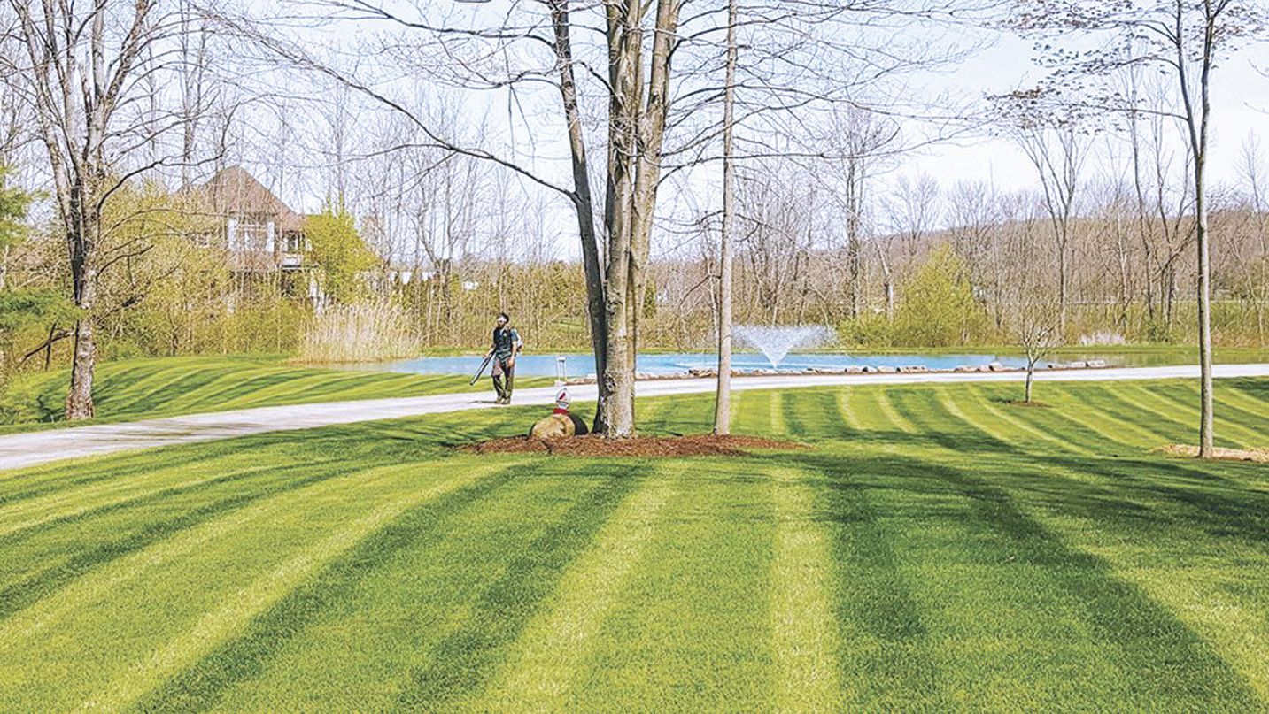 A person riding a bicycle past a large tree on a property with a freshly mown, striped lawn and a fountain in a pond.