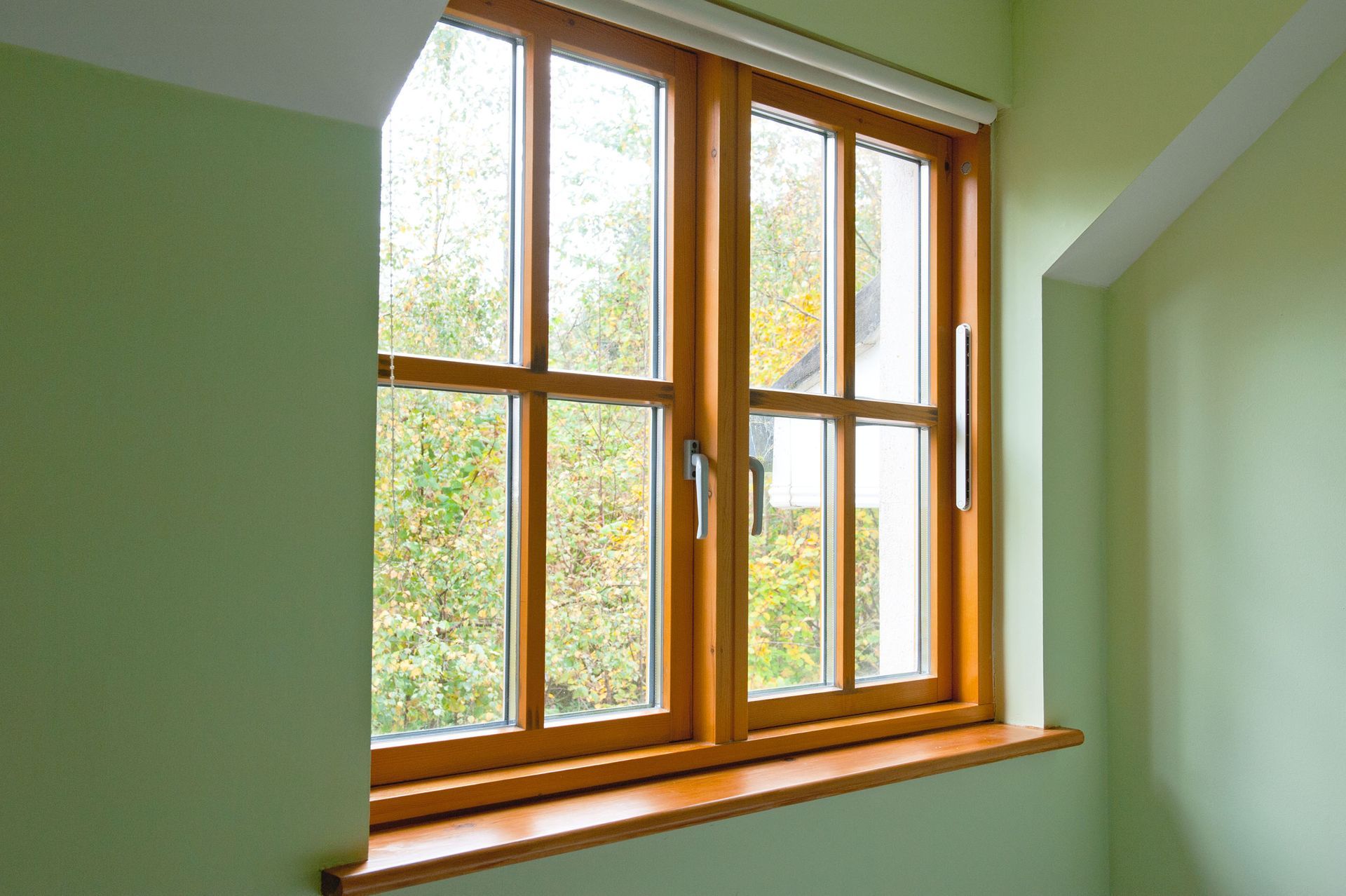 A wooden-framed, double-pane window set into a pale green wall, looking out onto trees.