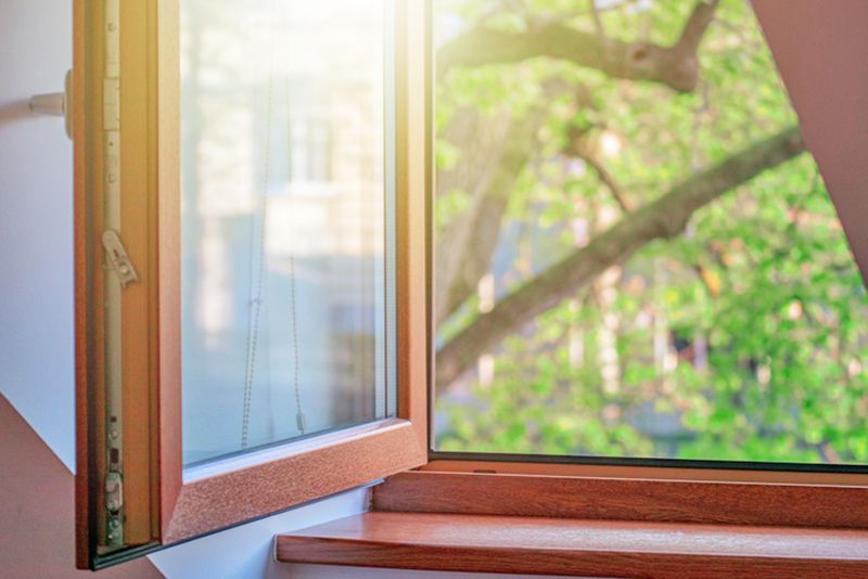 A bright, sunlit view through an open wooden window frame looking out onto green tree branches.