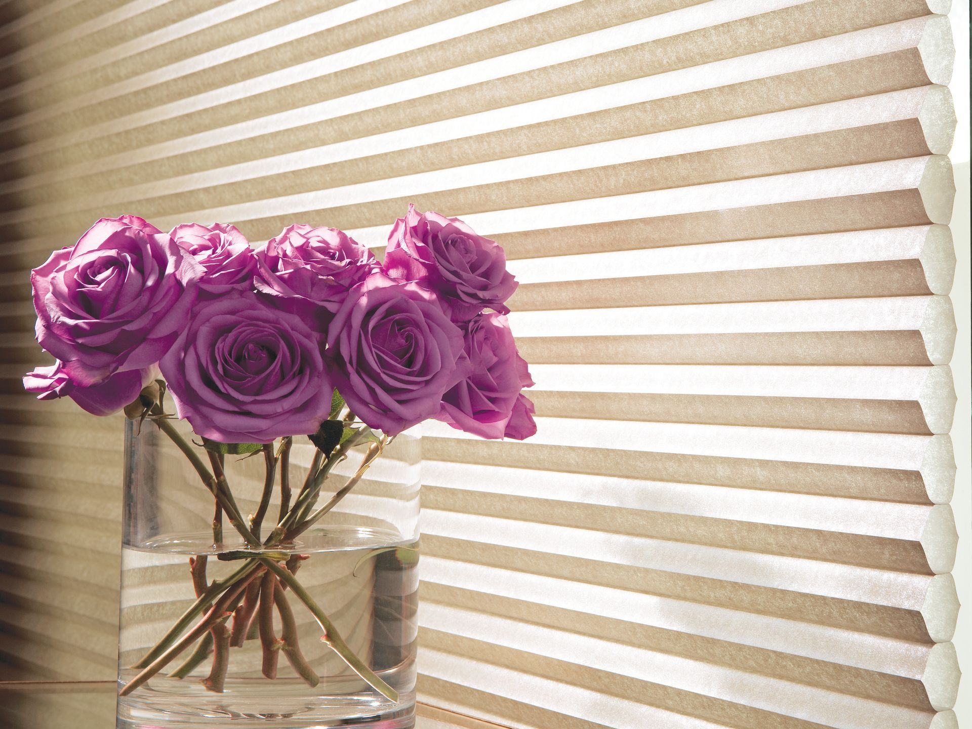 A bouquet of purple roses in a clear glass vase sits in front of light-colored, horizontal pleated window shades.
