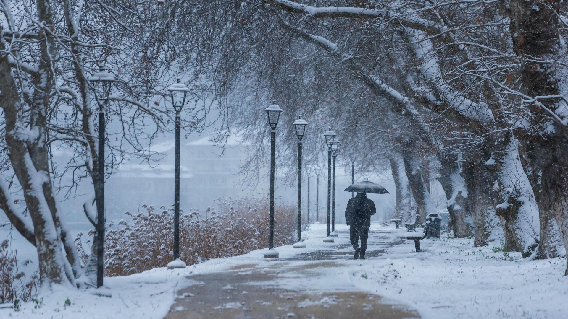 A solitary figure with an umbrella walks along a snow-covered path lined with trees and streetlamps by a lake.