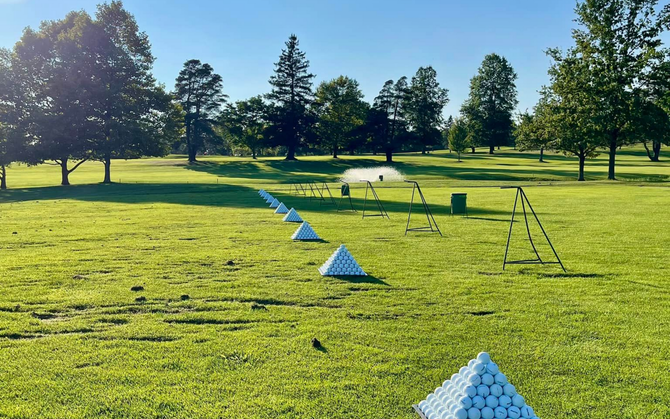 Lawn with blue cones and hurdles set up for outdoor agility training in a sunny park