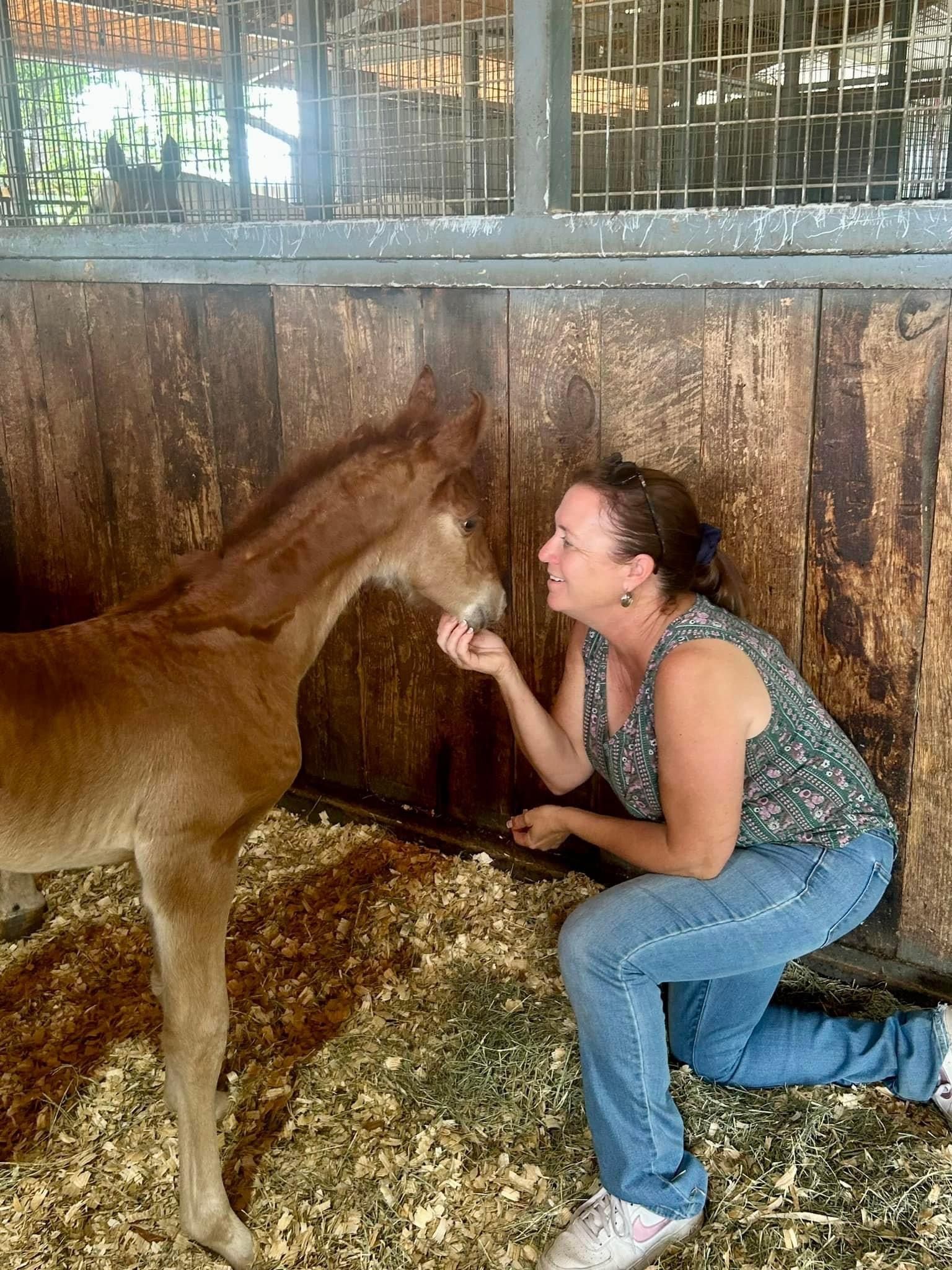 Vantage Point Farm Barn News • Horseback Riding • Tomball, TX