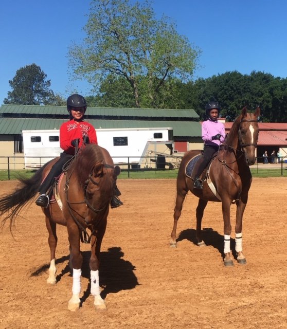 Tomball, TX Horseback Riding Lessons • Vantage Point Farm