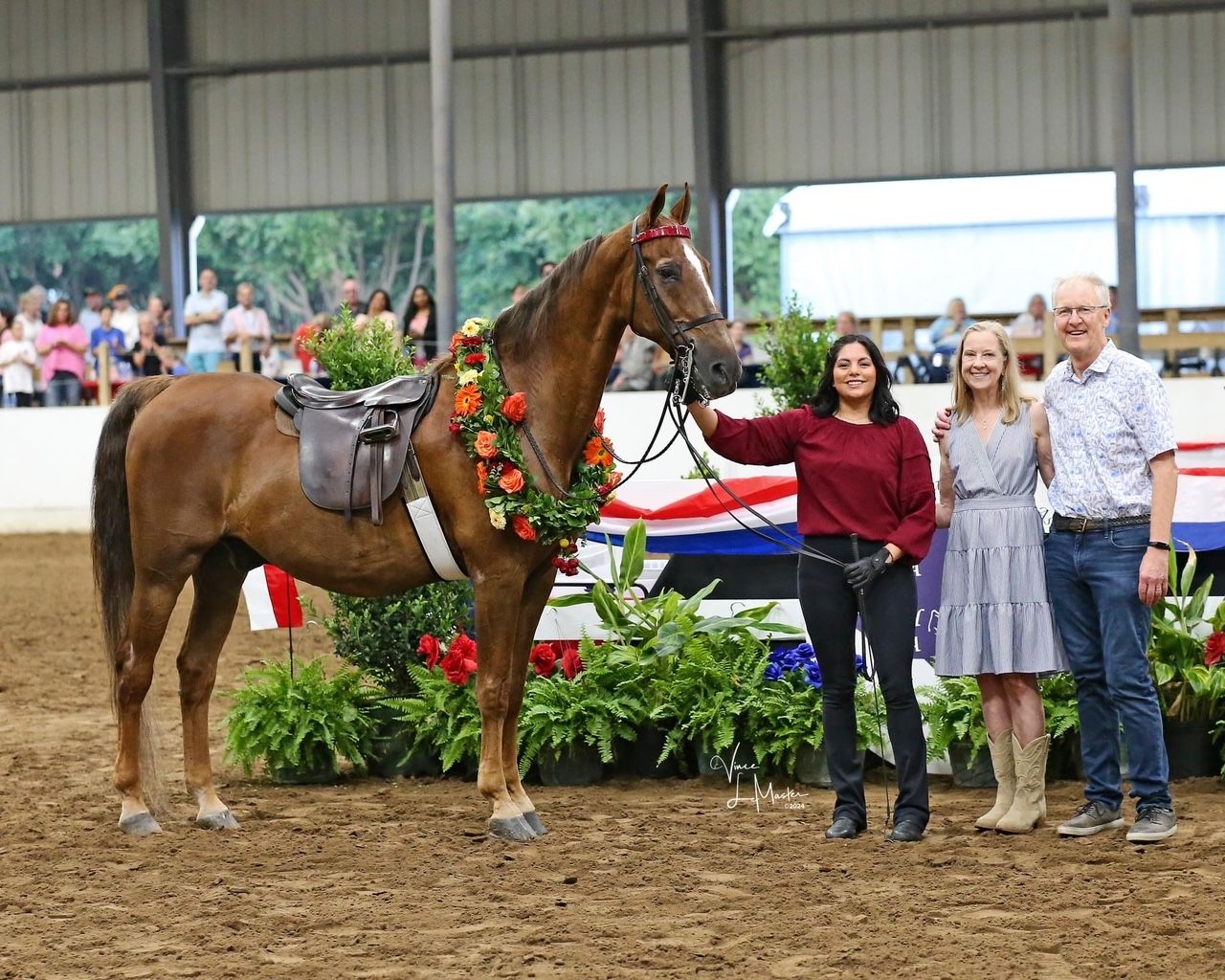 Vantage Point Farm Barn News • Horseback Riding • Tomball, TX